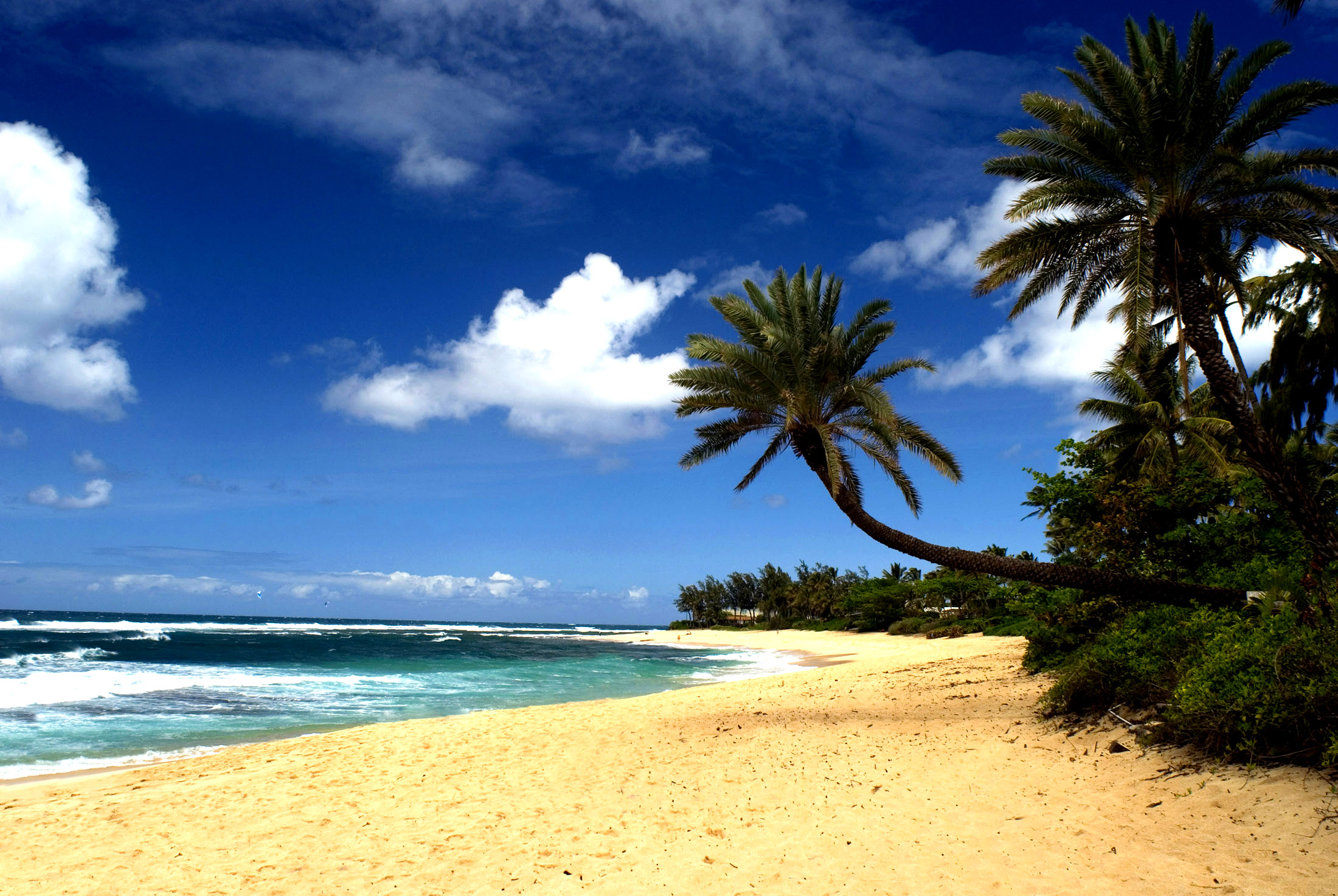 Hawaiian Beach Sand