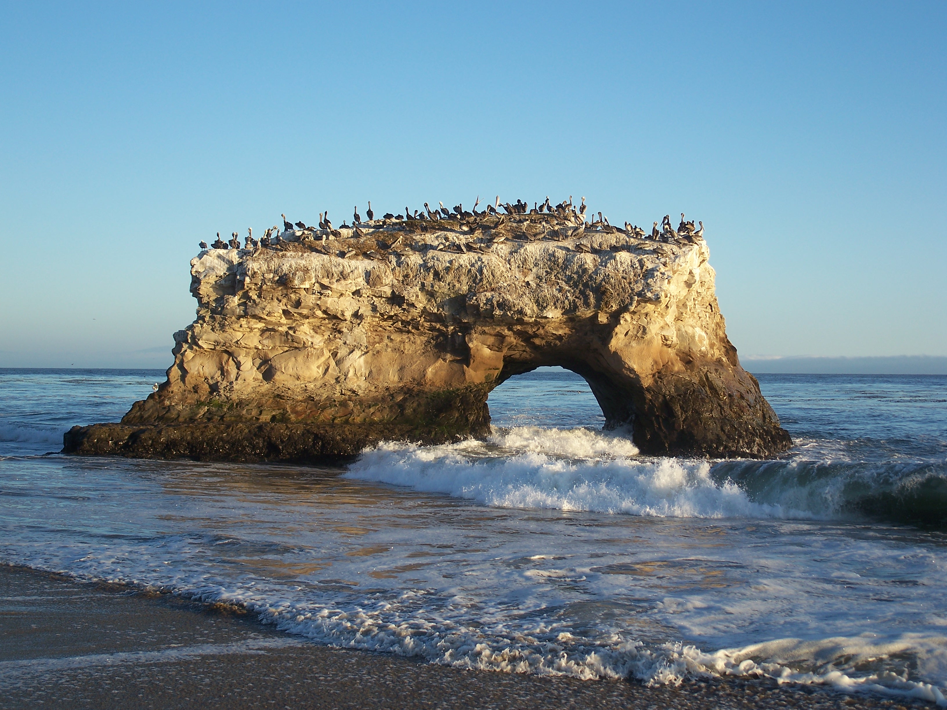 File:USA-Santa Cruz-Natural Bridges State Beach-4.jpg - Wikimedia ...