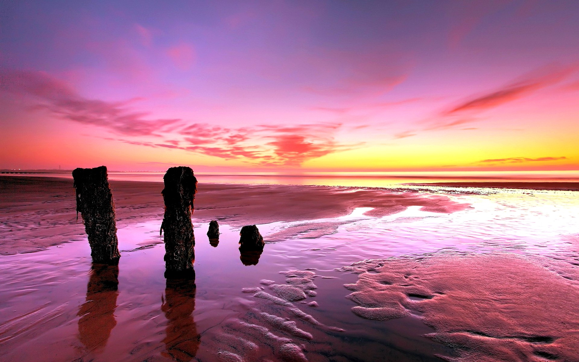 Ocean Stumps Sunset Dusk Beach Wallpaper For Iphone 5 Beaches ...