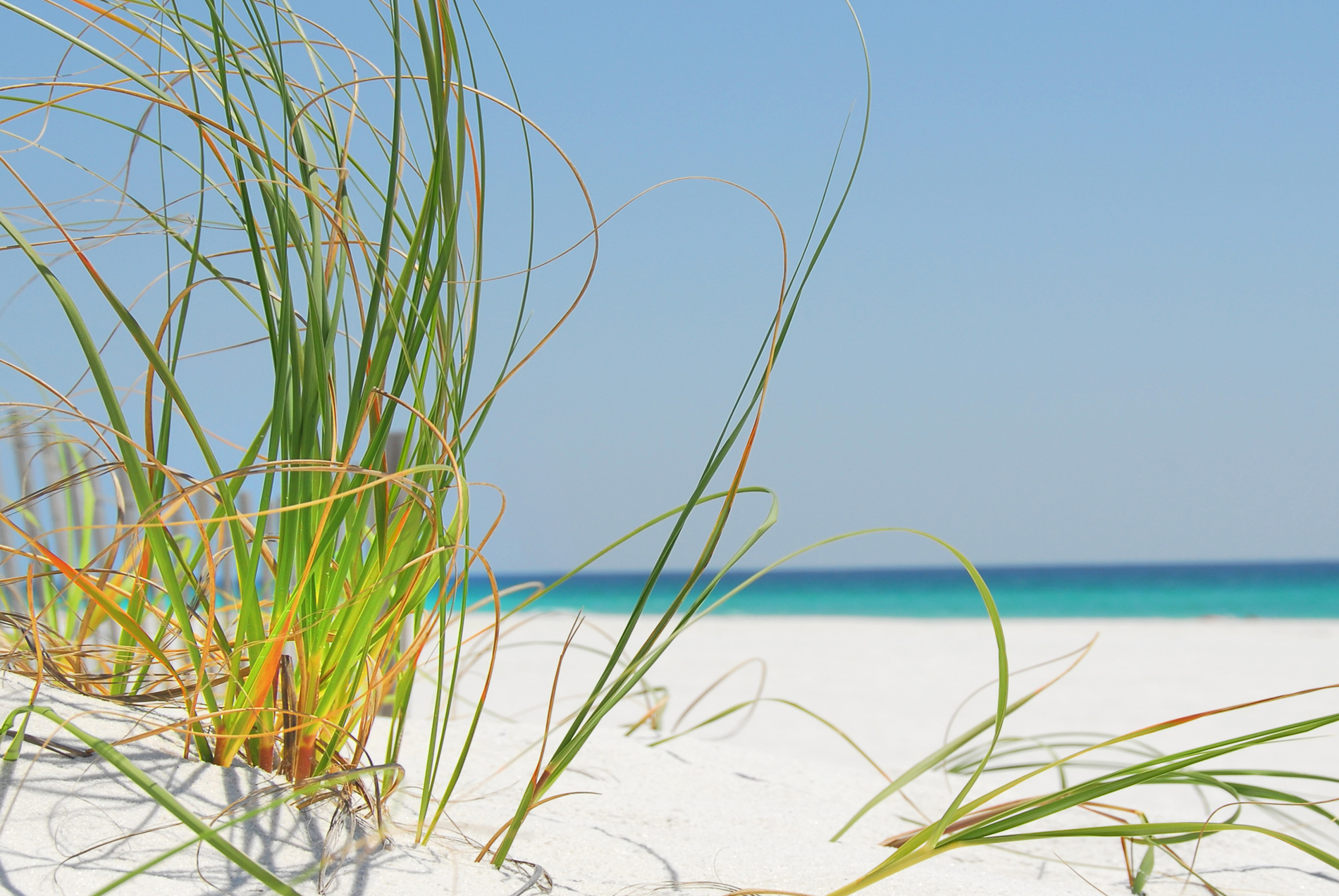 Background_Pensacola-Beach-Grass-Sand-Water-Sun-Fun | Commercial ...