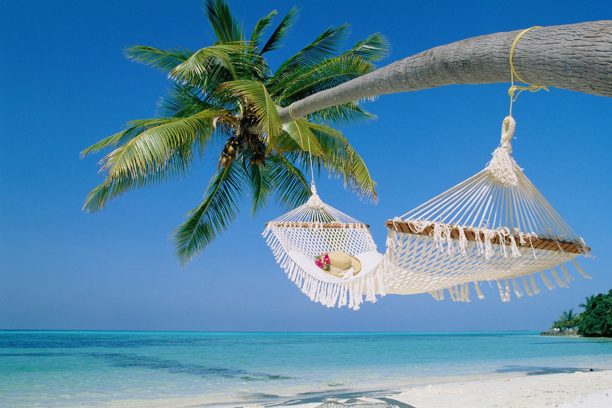 Free Photo Beach Hammocks Beach Coast Colorful Free Download 