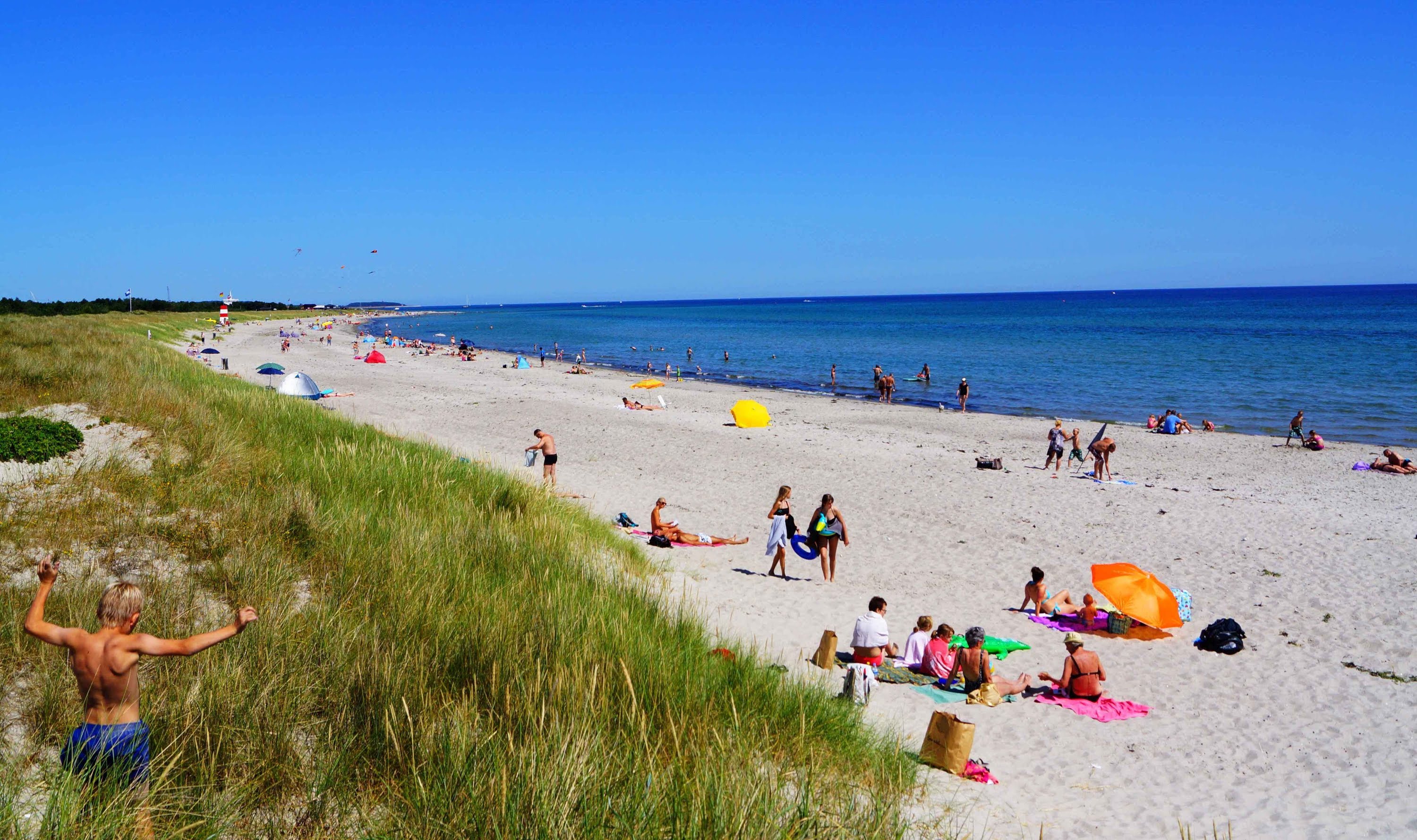 Free Photo Beach In Denmark Beach Flow Landscape Free Download 