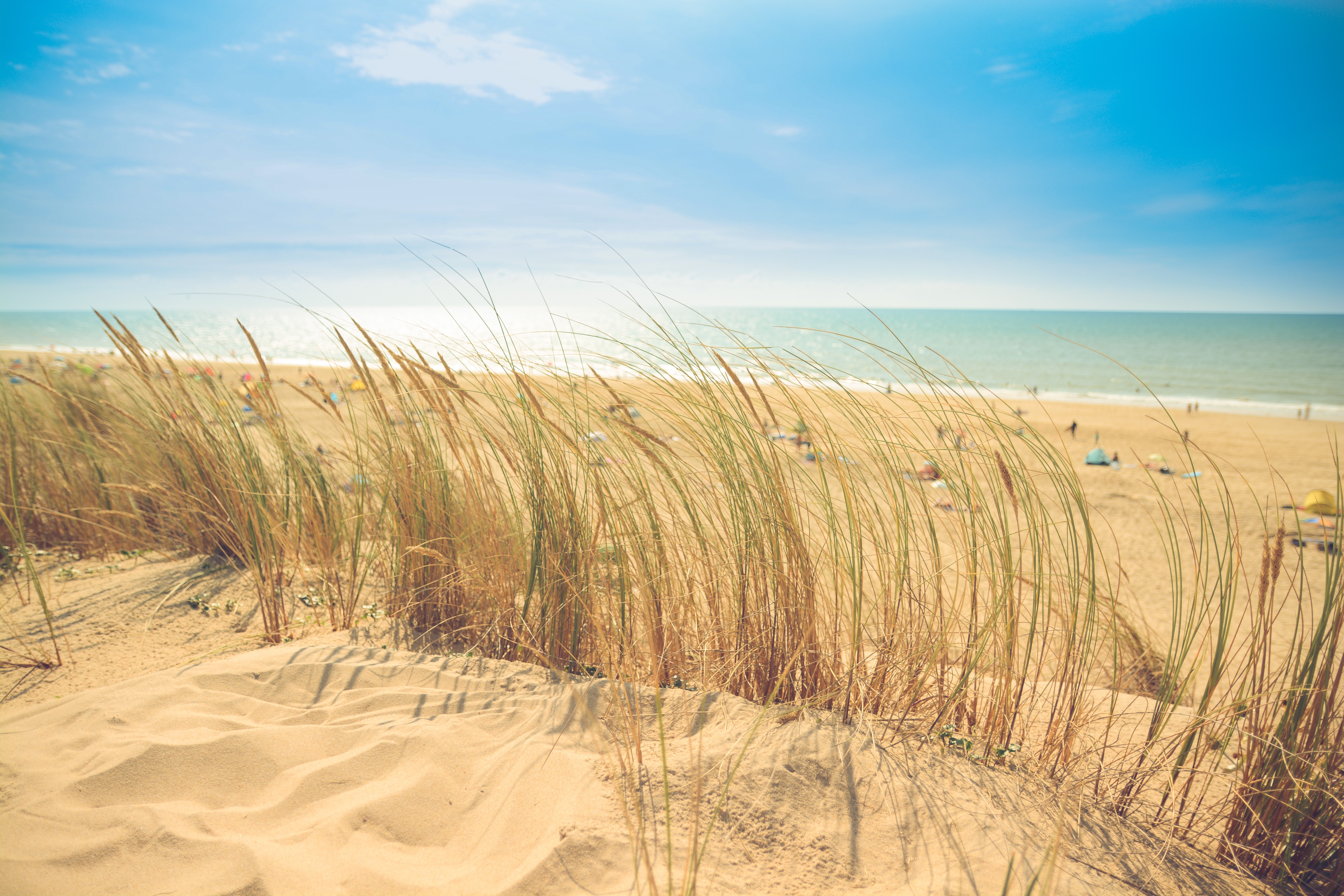 Free stock photo of beach, dune, holiday
