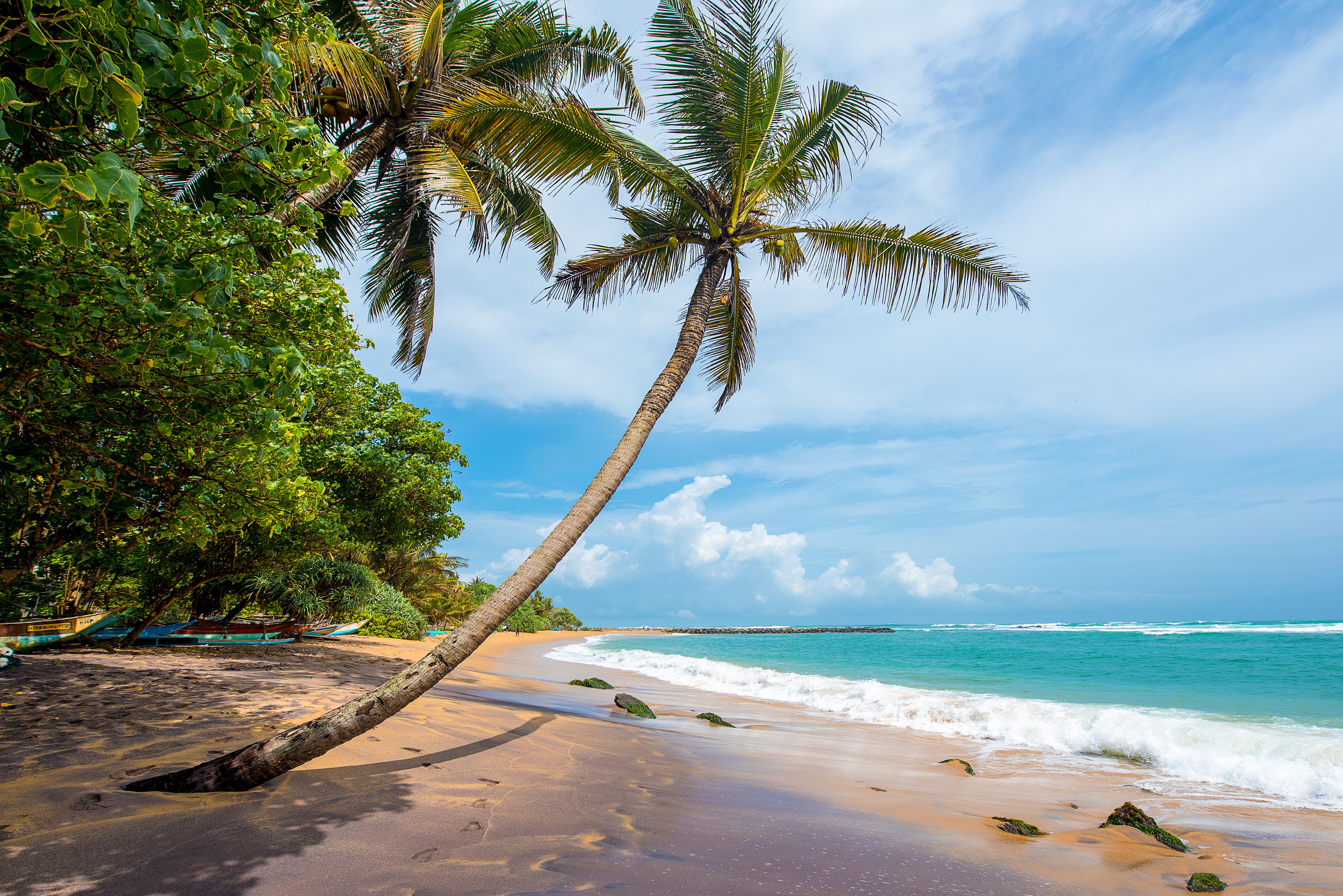 Best Beaches in Sri Lanka: Top 4 Beaches to Enjoy