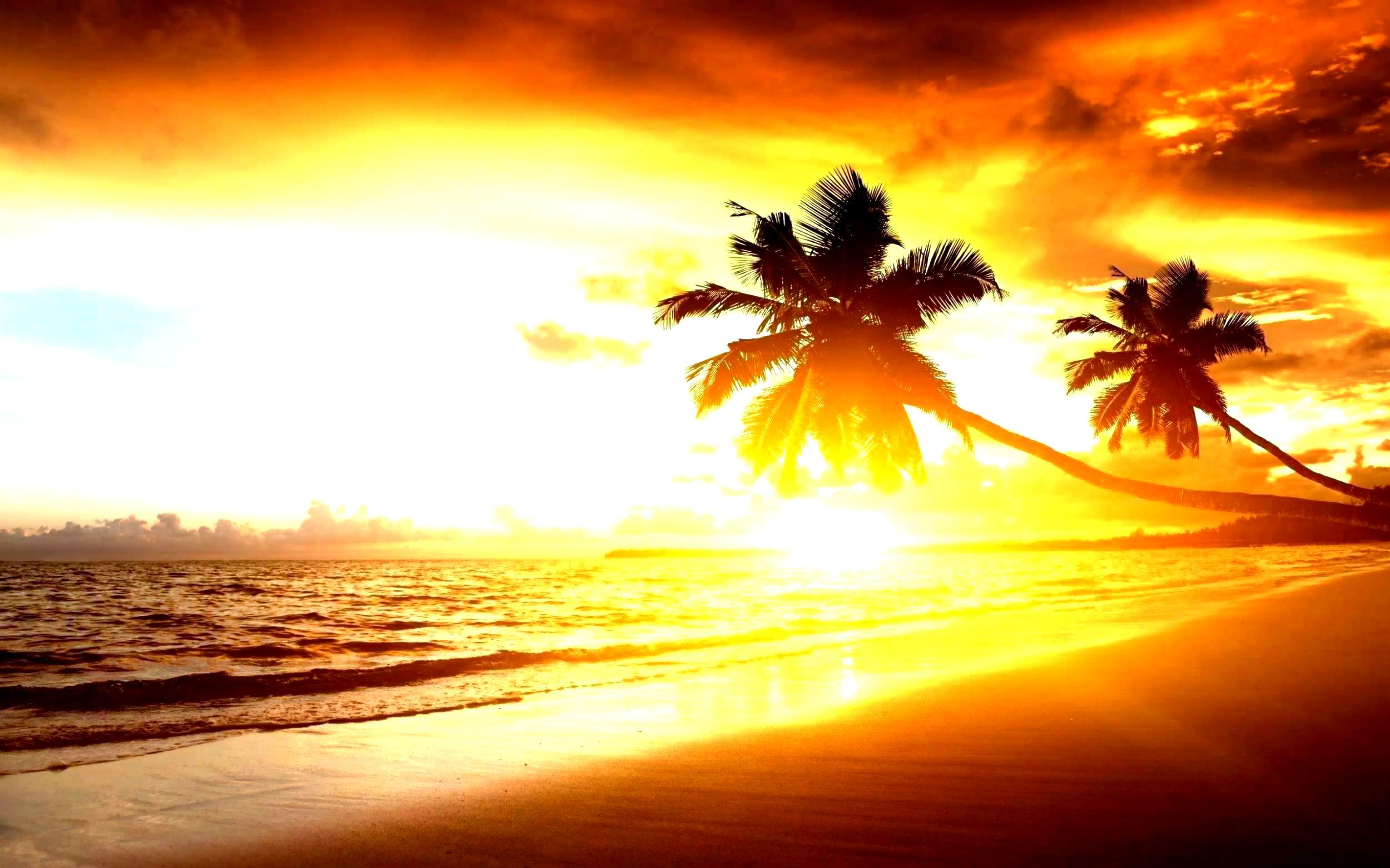 The Best Beach Sunset For Fb Background Wallpaper, The Best Beach ...
