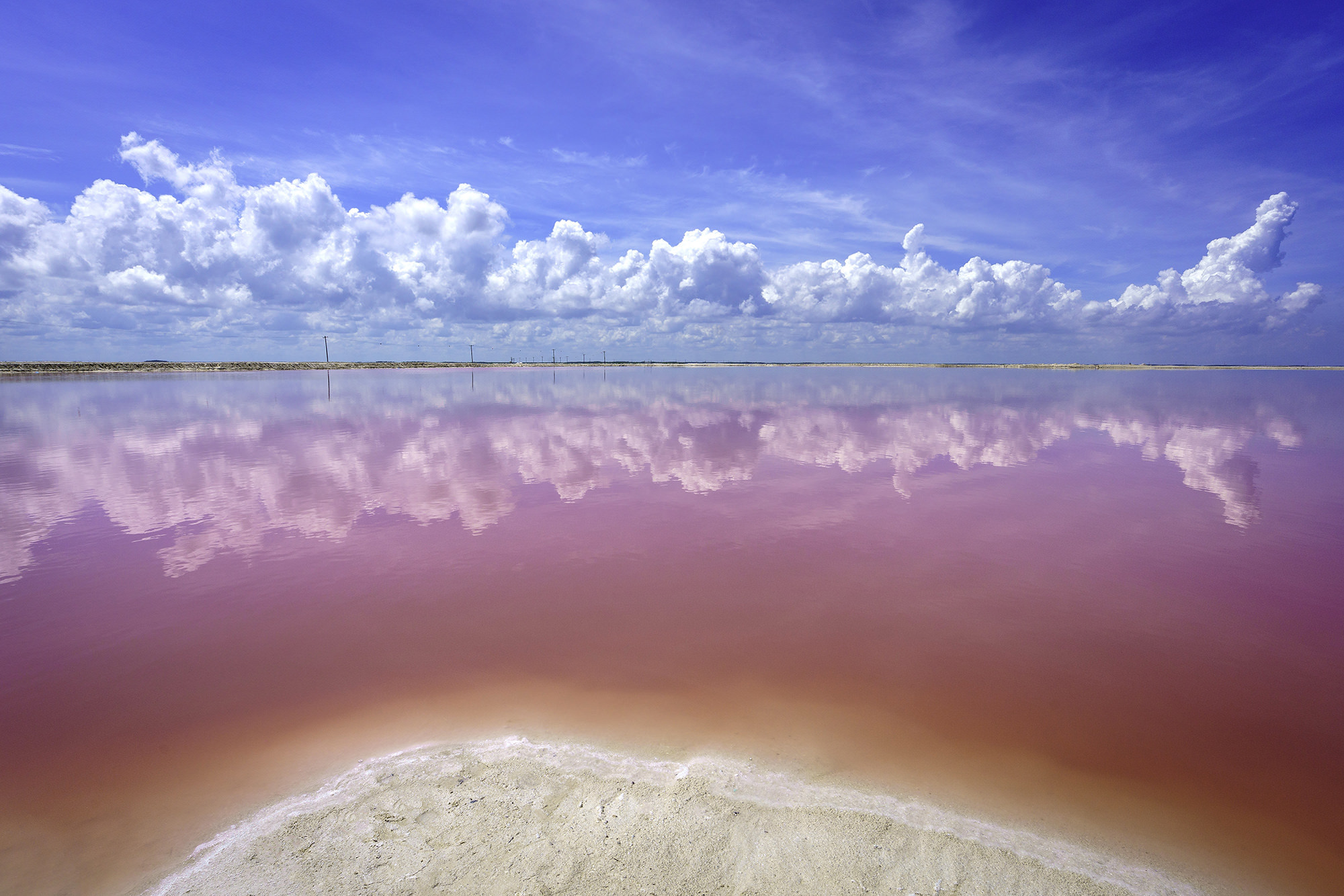 The Unbelievable Pink Lakes Of Las Coloradas In Mexico • Expert Vagabond