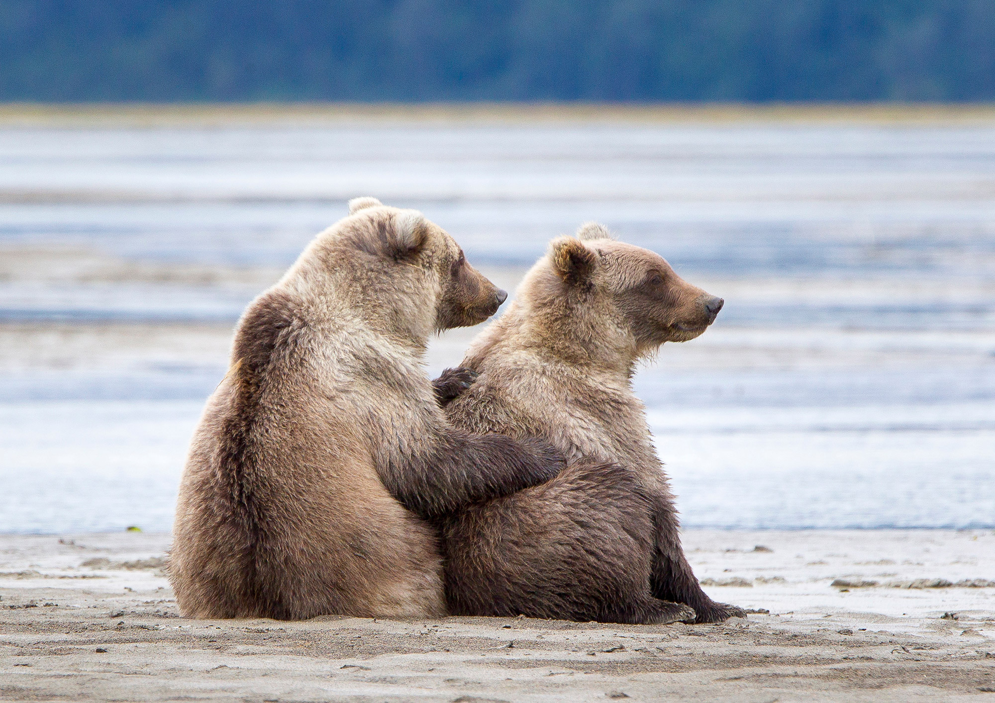 There's one market analyst who thinks a bear market is ahead