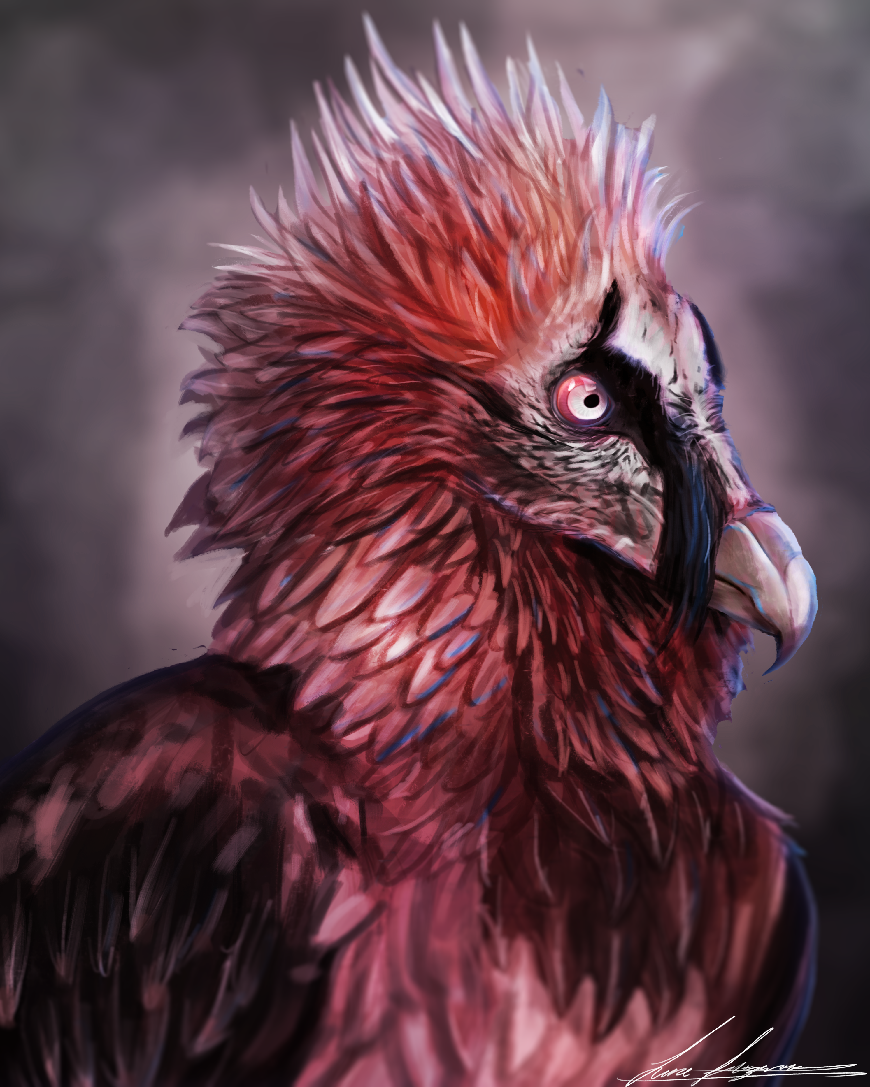 Bearded Vulture by LukeF on Newgrounds