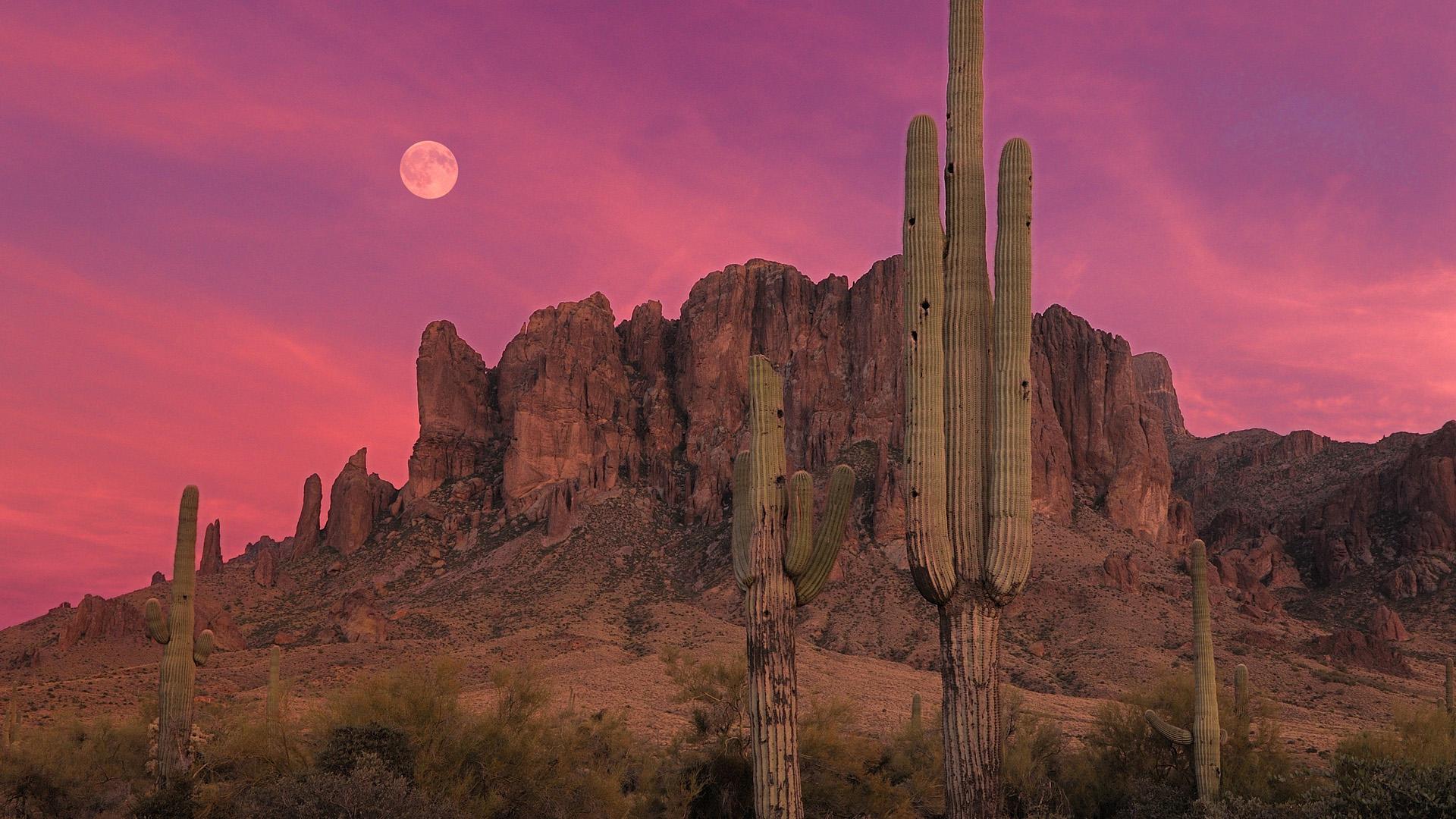 Beautiful Arizona Sunset #6774237