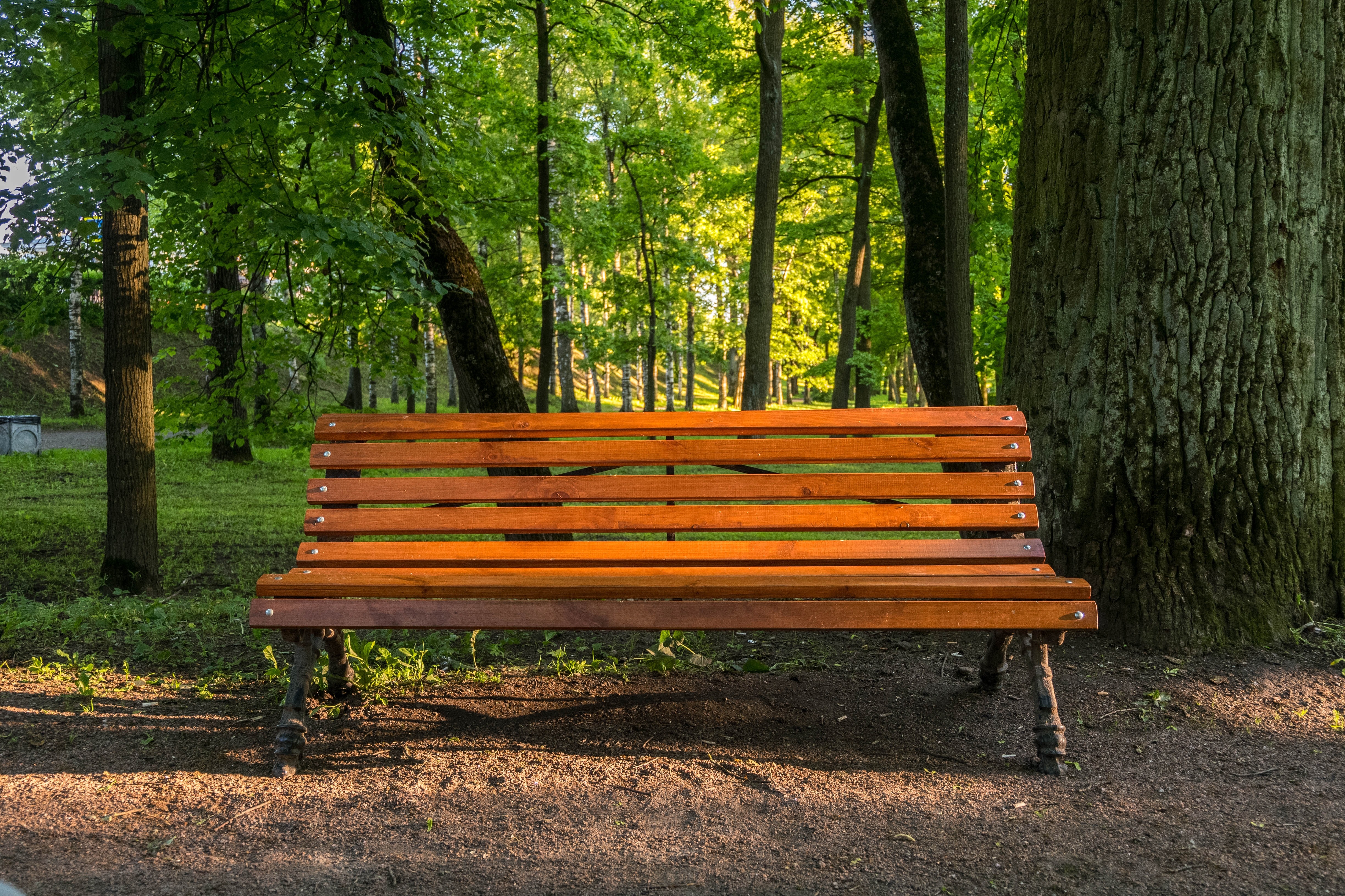 Место под лавкой. Парк скамейка. Hyde Park лавочки. Парк Сокольники скамейки. Битцевский парк лавочки.