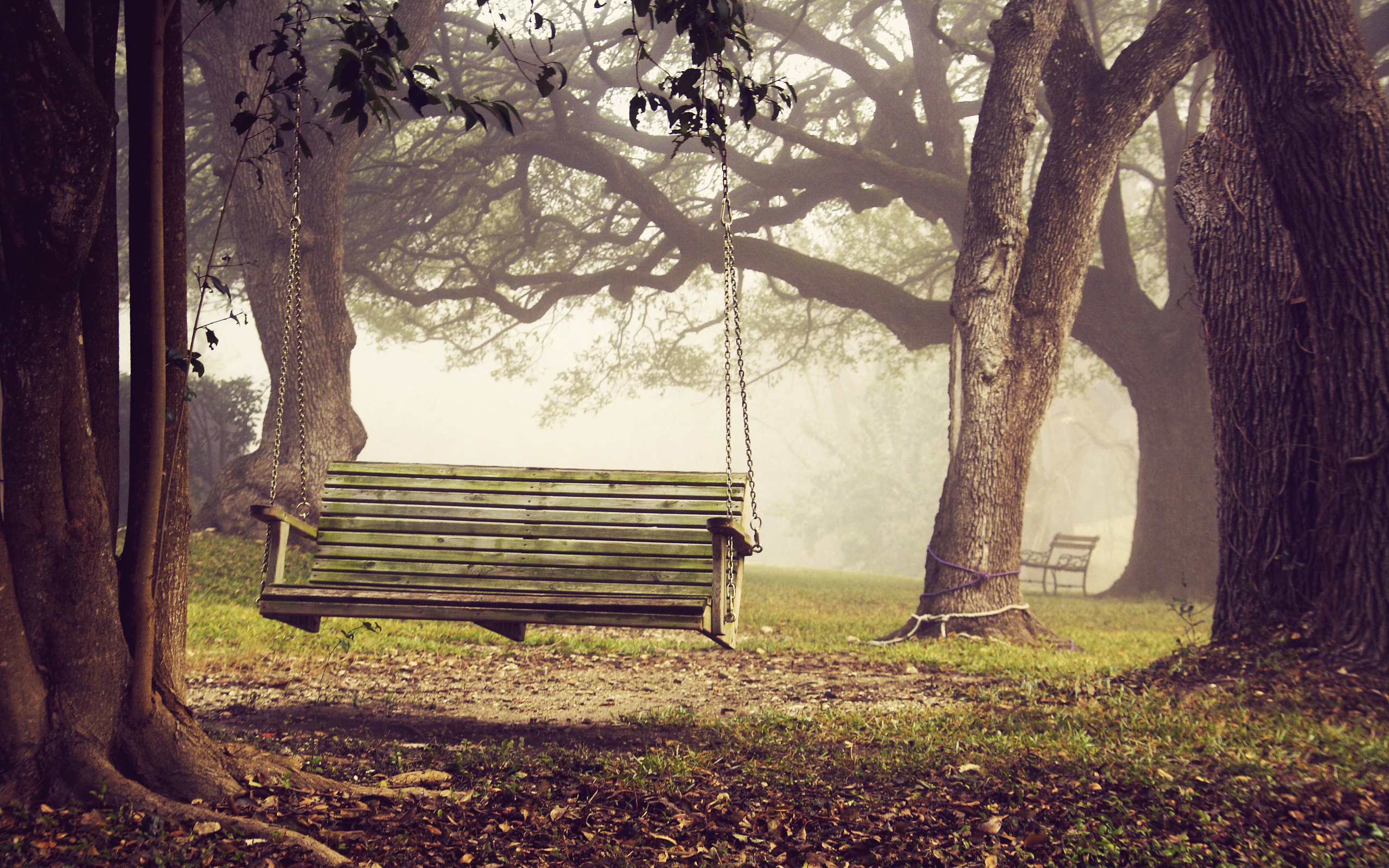 Beautiful Bench Wallpaper #6774339