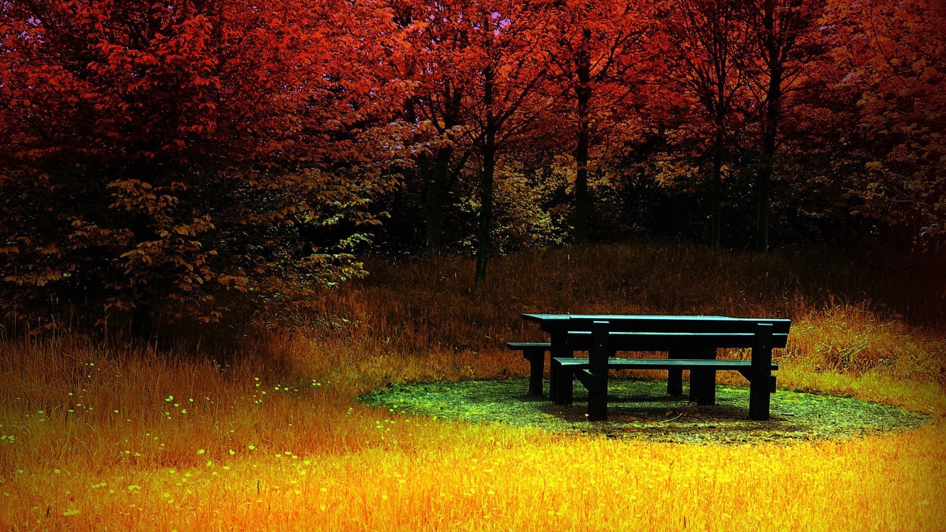 Bench, Trees, Nature, Beautiful wallpaper | nature and landscape ...