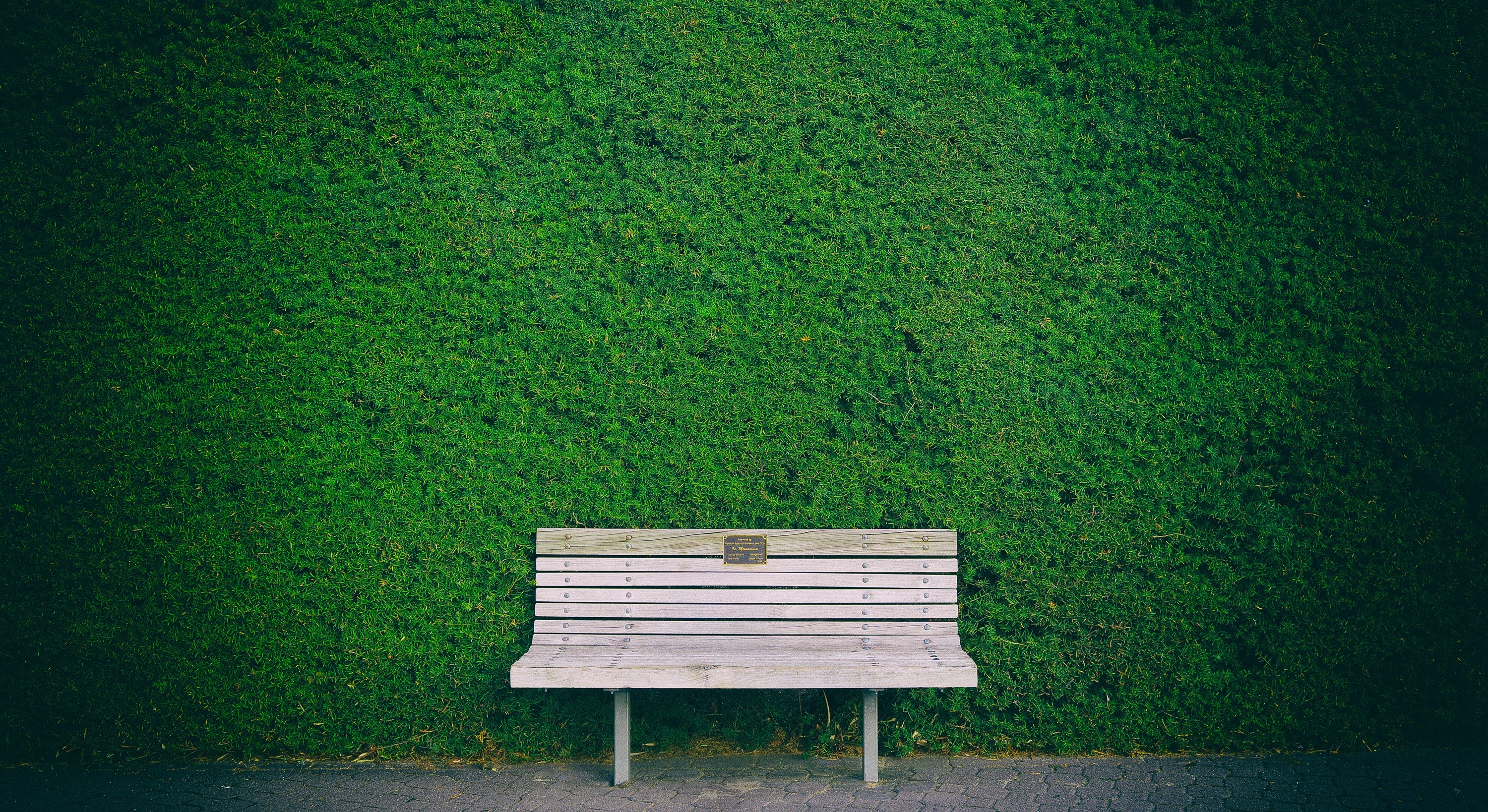 Beautiful Bench In Garden, HD Nature, 4k Wallpapers, Images ...