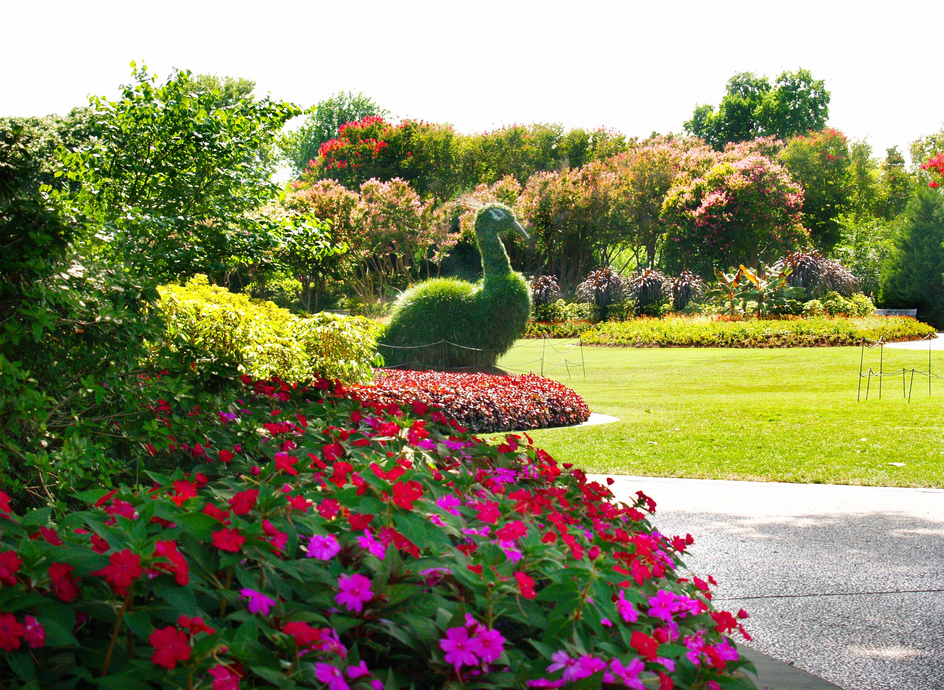 68 best Summer in the Garden images on Pinterest | Dallas arboretum ...