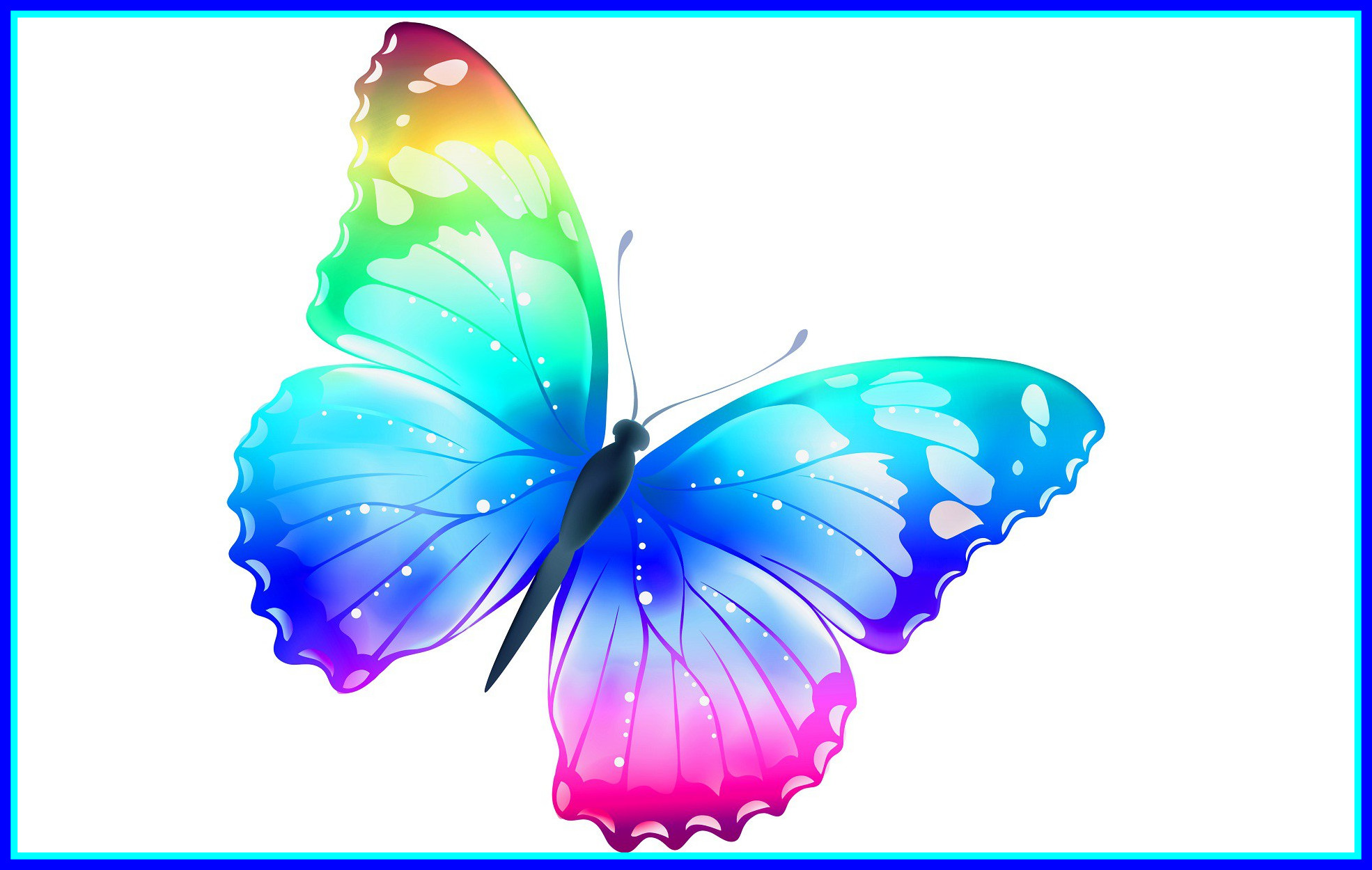 Marvelous Butterfly Most Desktop Wallpaper Hd Rocks Pics Of ...