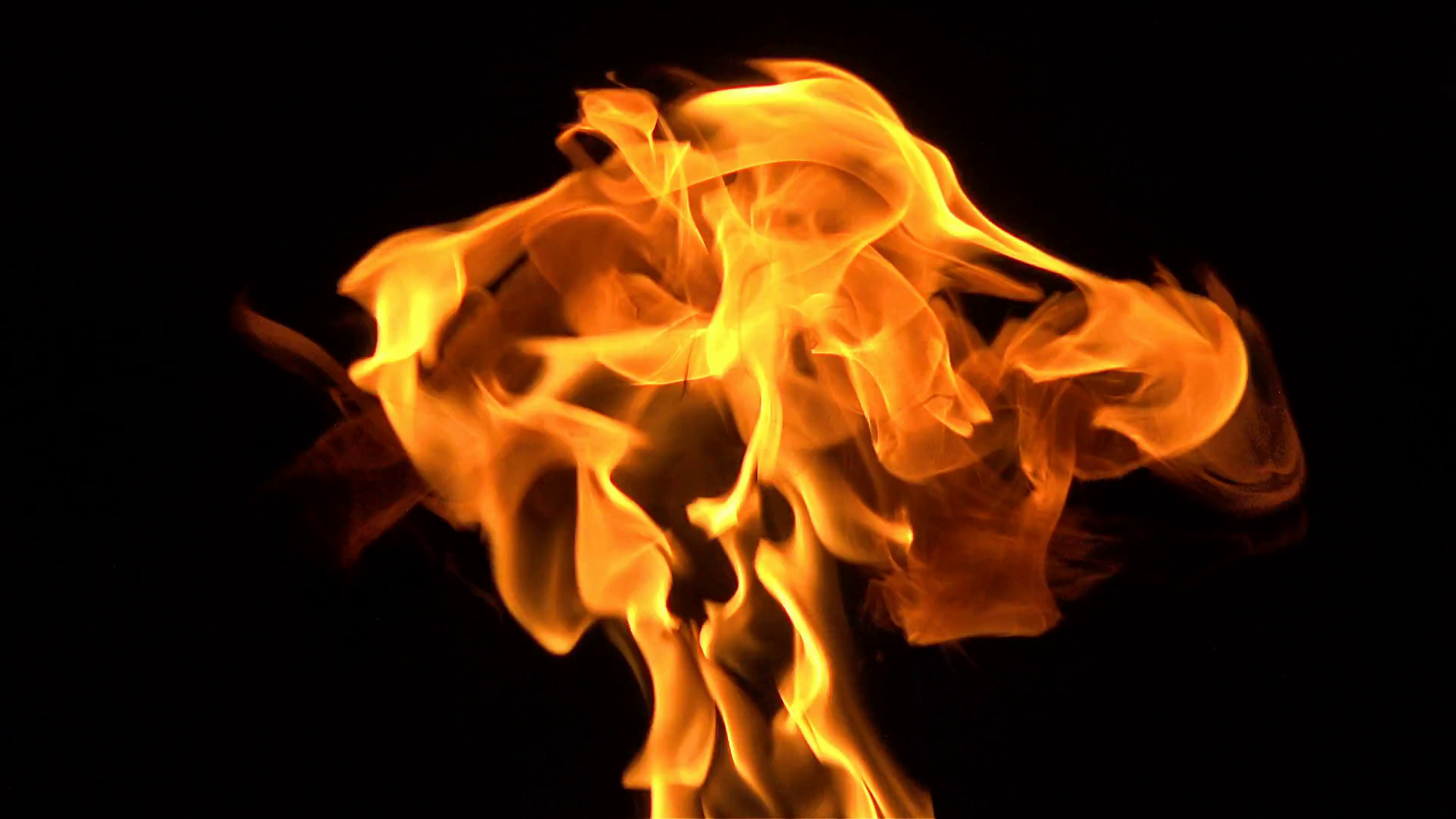 Beautiful flames close. The fire in burning your night. Stock Video ...