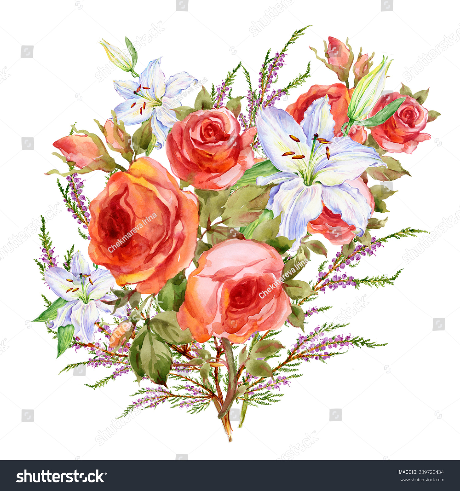 Watercolor Bouquet Beautiful Flowers Stock Illustration 239720434 ...