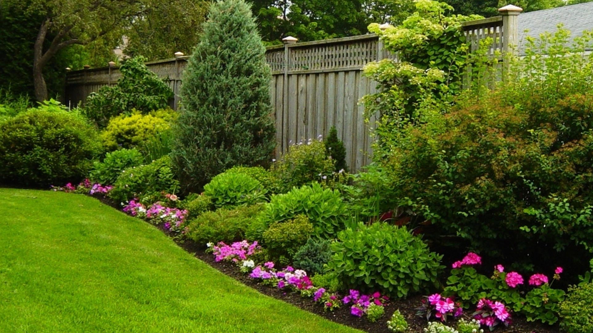 Beautiful garden photo