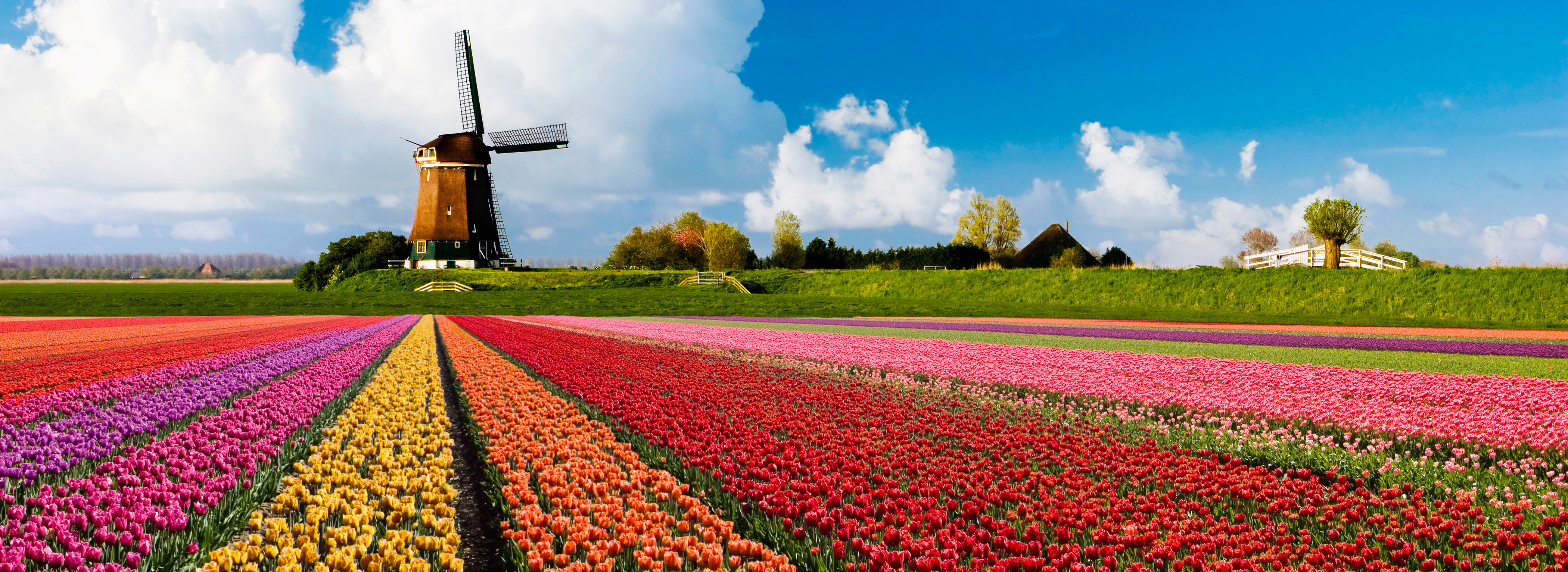 EXPLORE EUROPE'S BEAUTIFUL GARDENS IN SPRING TIME - The Travel ...