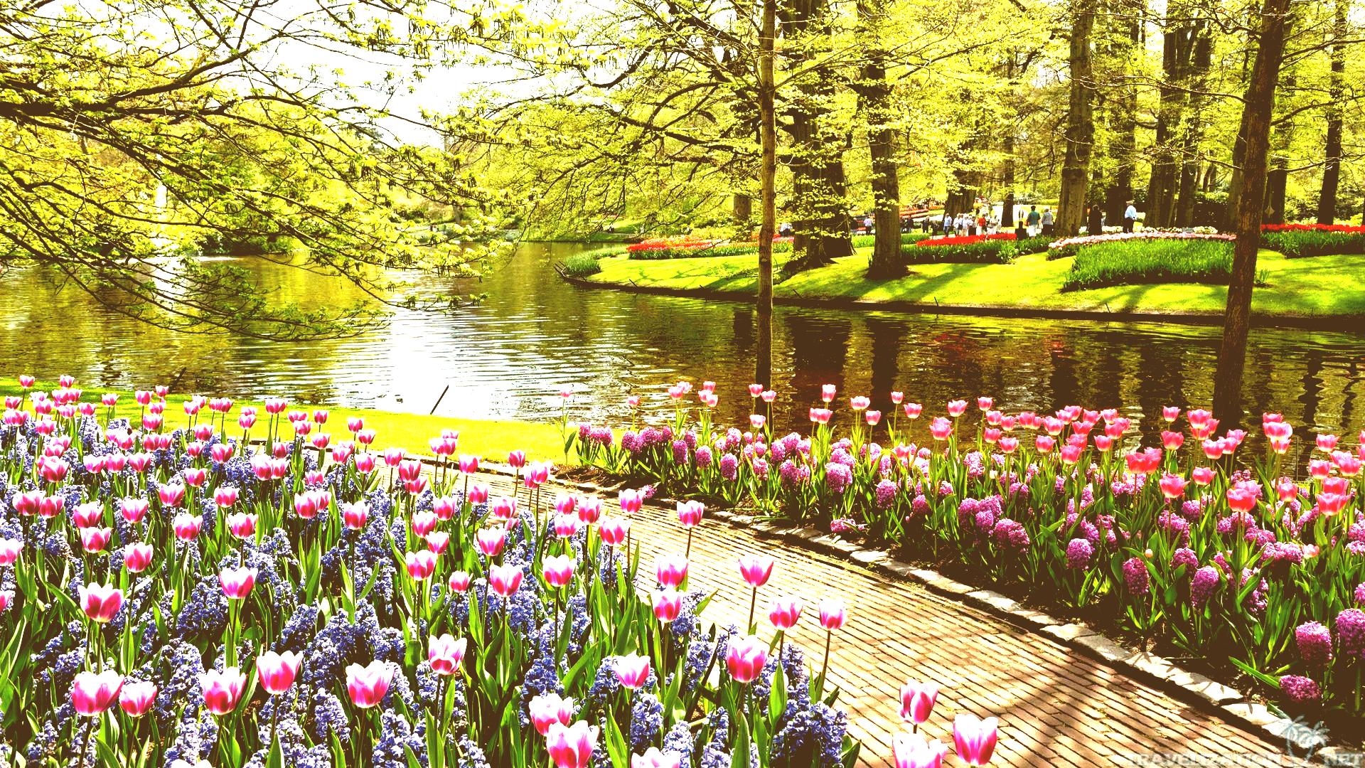 Free photo: Beautiful Garden - Blooming, Flower, Fragrance - Free
