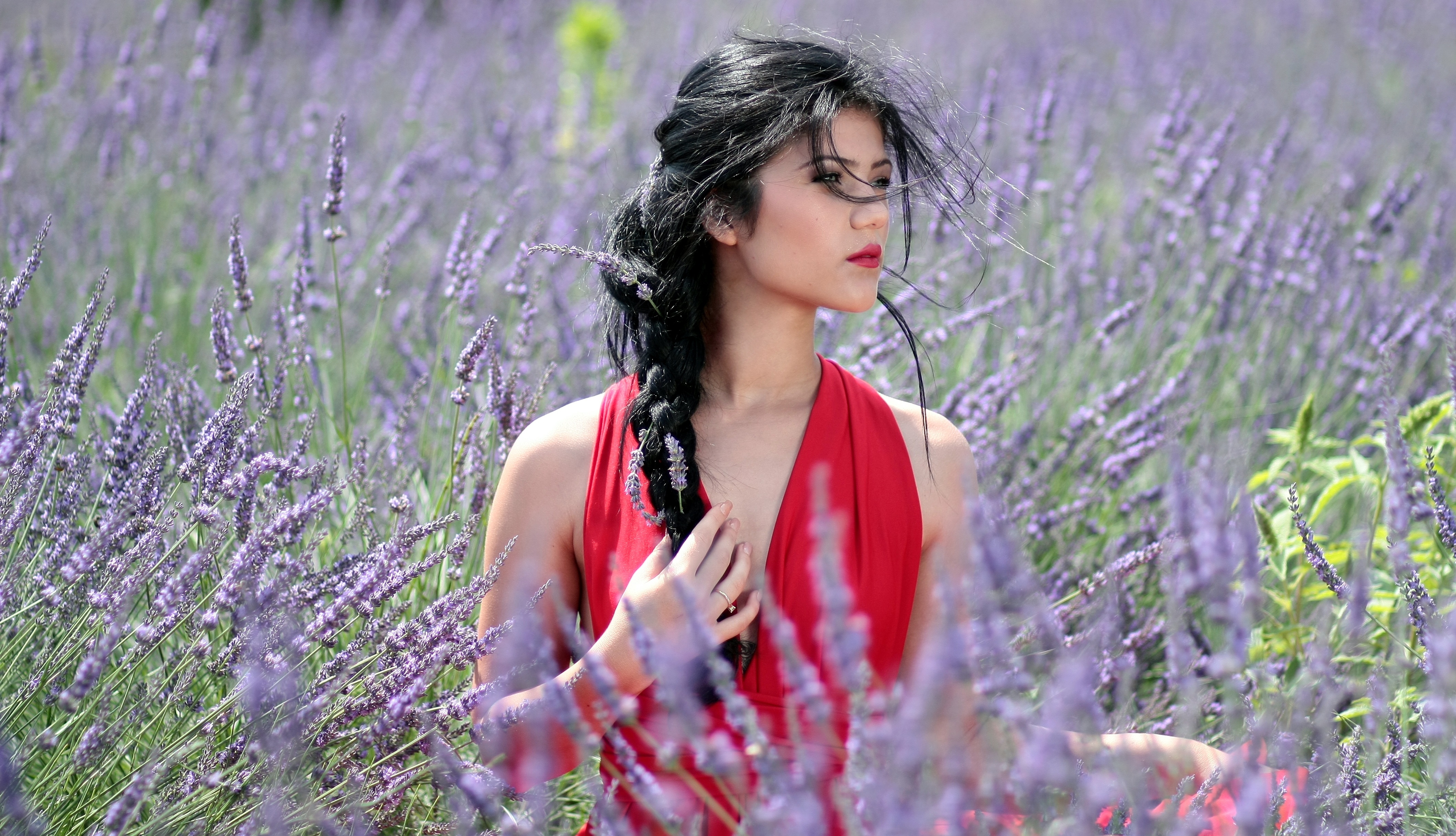 Beautiful Girl in Lavender Flowers image - Free stock photo - Public ...