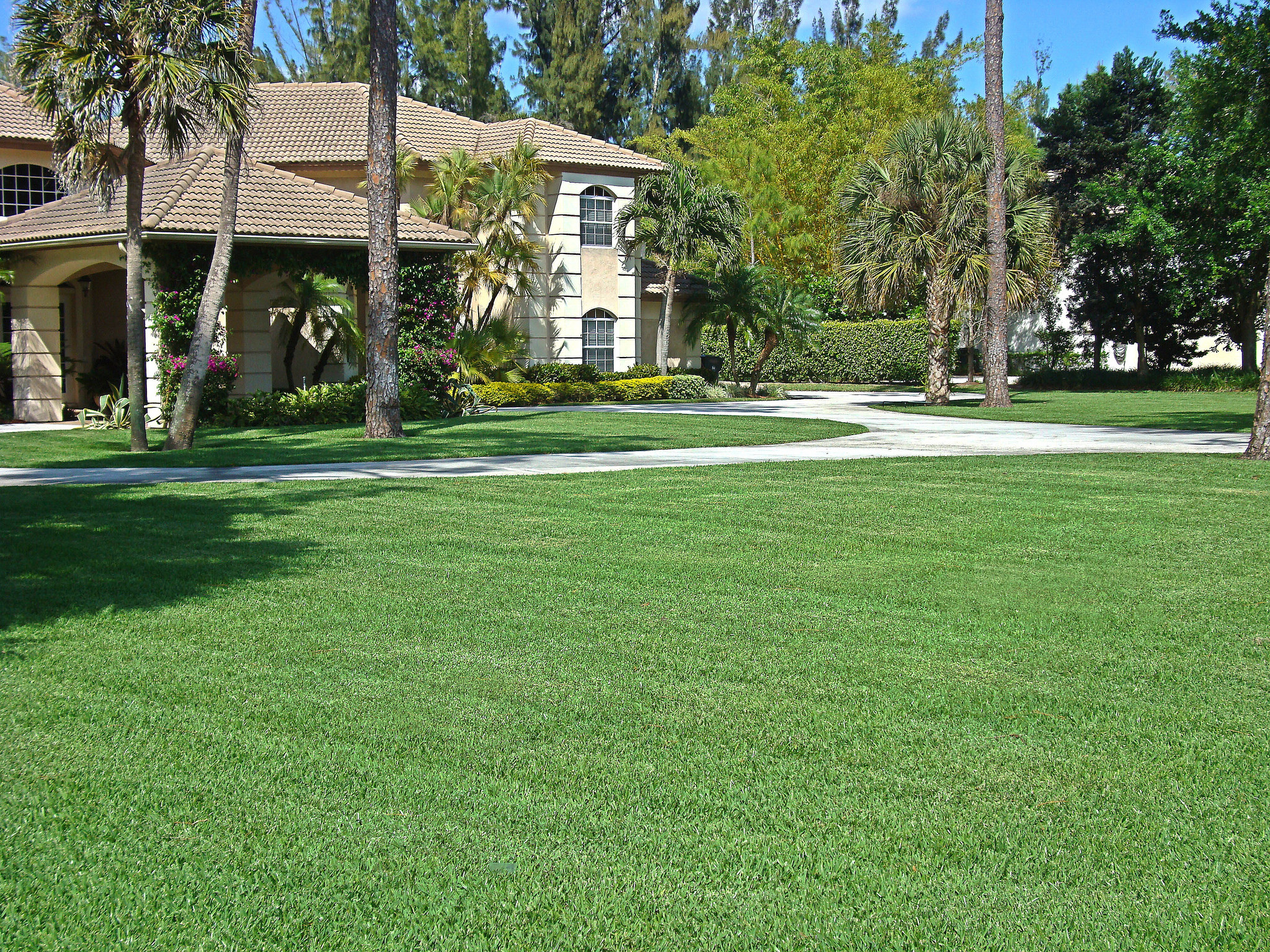 Green industry associations unite to preserve classic lawns