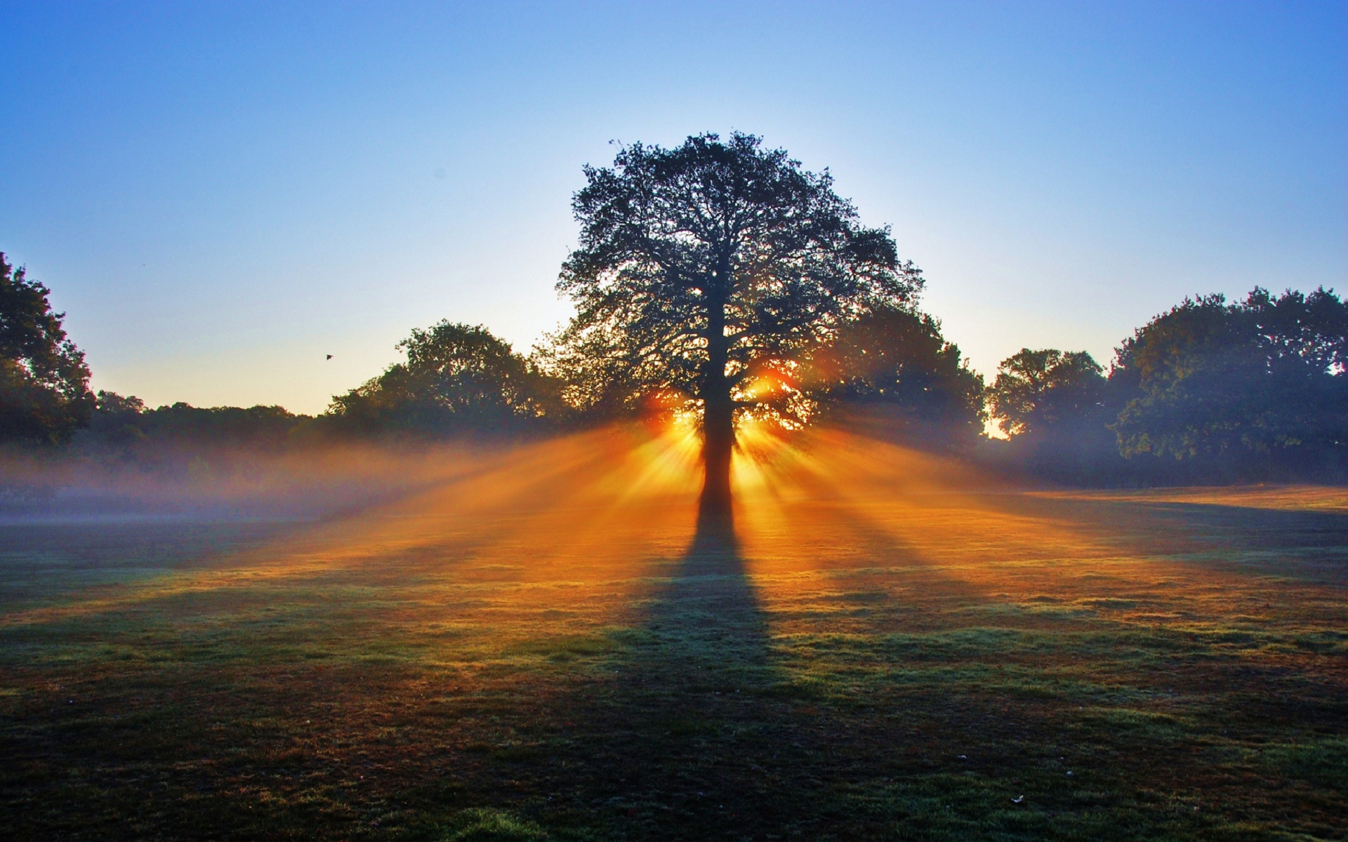 41 Morning Sun Wallpapers, Morning Sun HD Backgrounds | Wallpapers ...