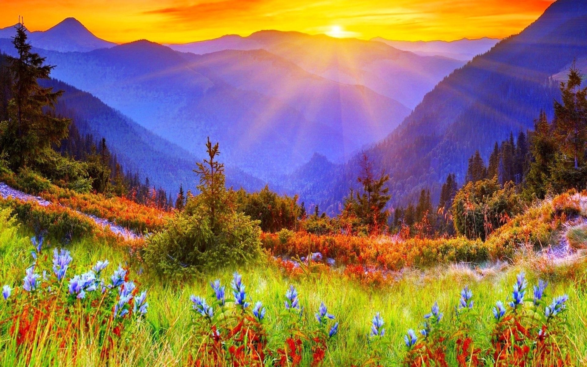 beautiful mountain sunrise - Ideal.vistalist.co