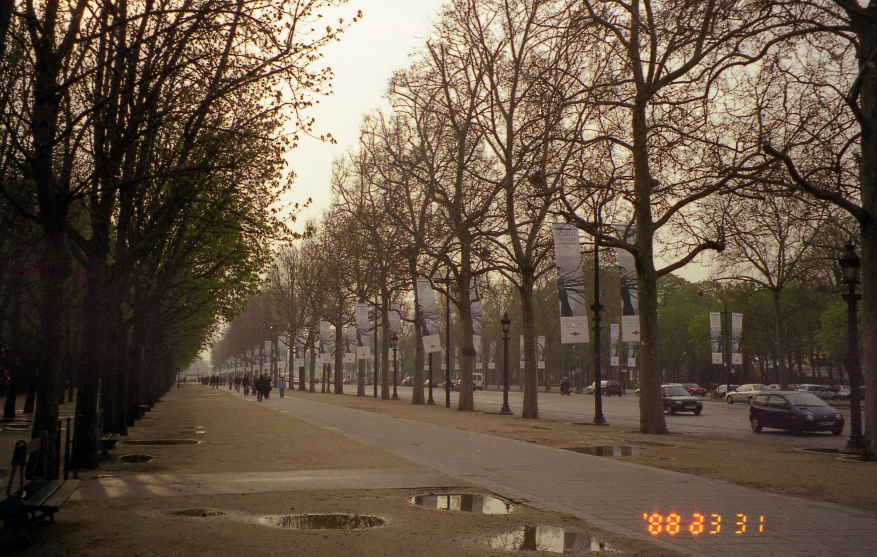 03-30-05-02 Beautiful road trees in perspective of Champse-Elysees ...