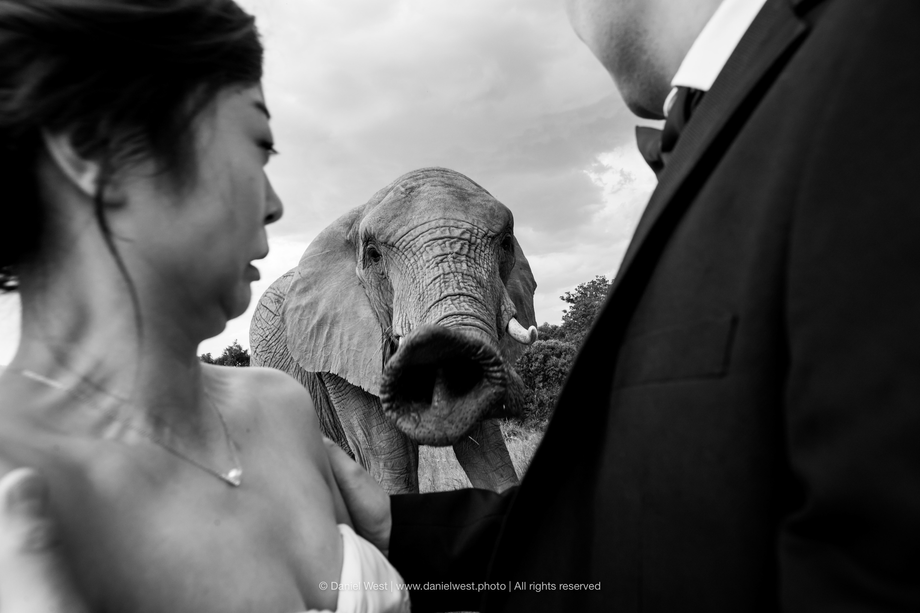 South African Wedding Photographer | Daniel West | beautiful-wedding ...