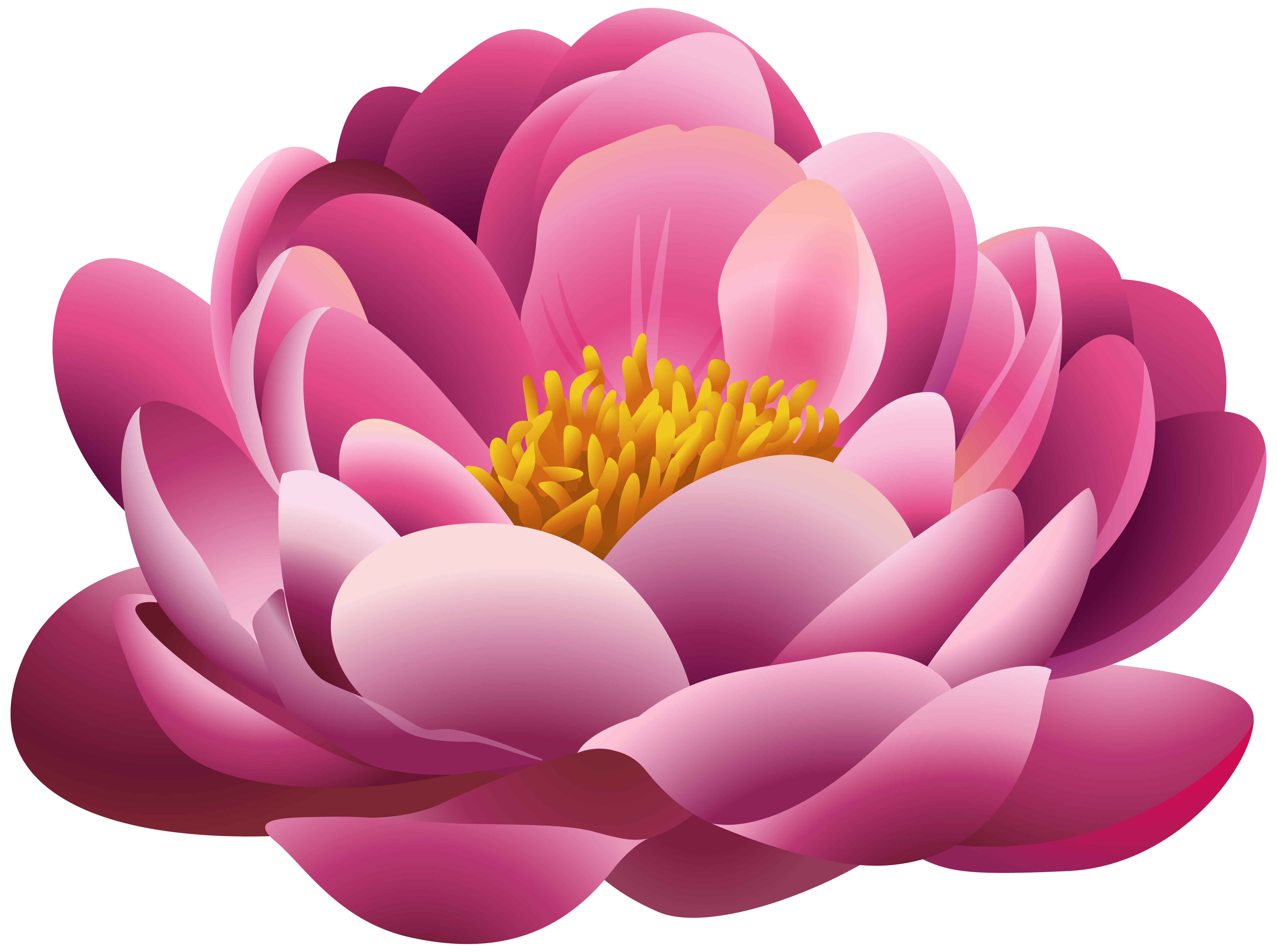 Beautiful Pink Flower PNG Clipart Image | Gallery Yopriceville ...