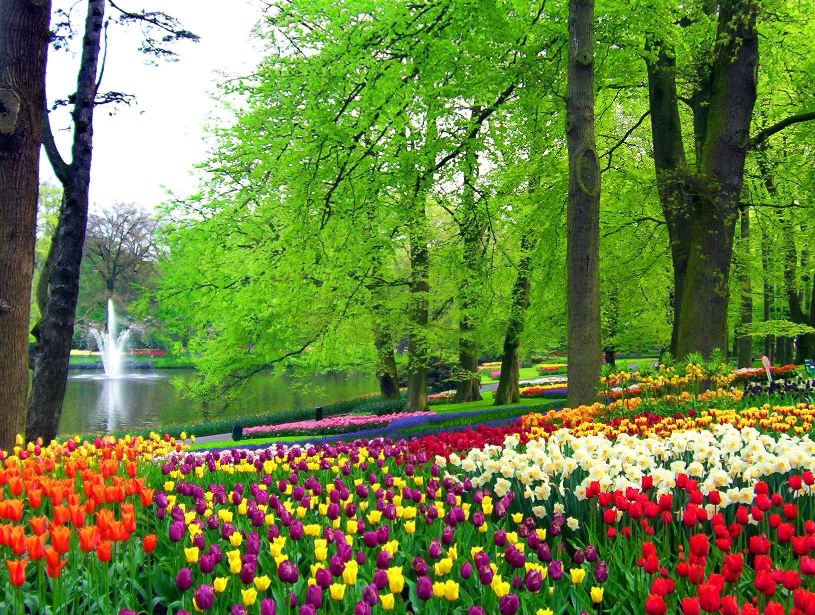 Flower: Greenery Fountain Relax Nice Green Beautiful Place Colorful ...