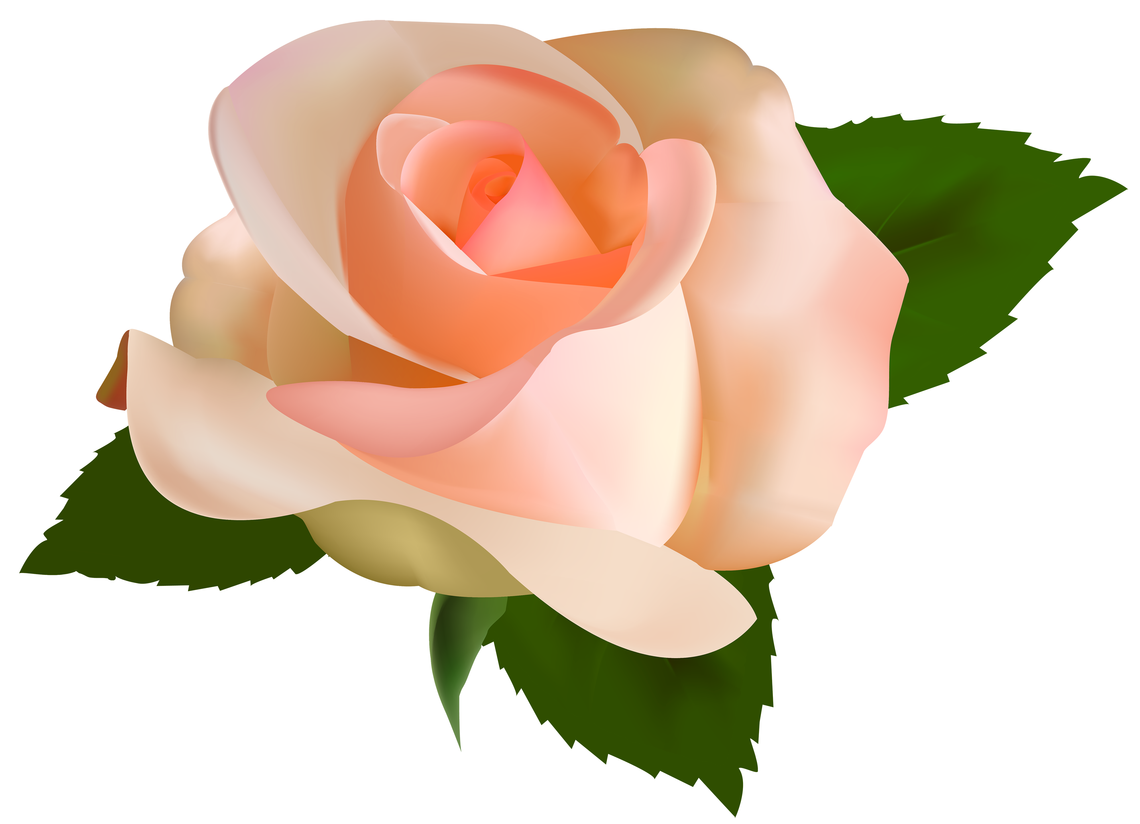 Beautiful Rose PNG Clipart - Best WEB Clipart
