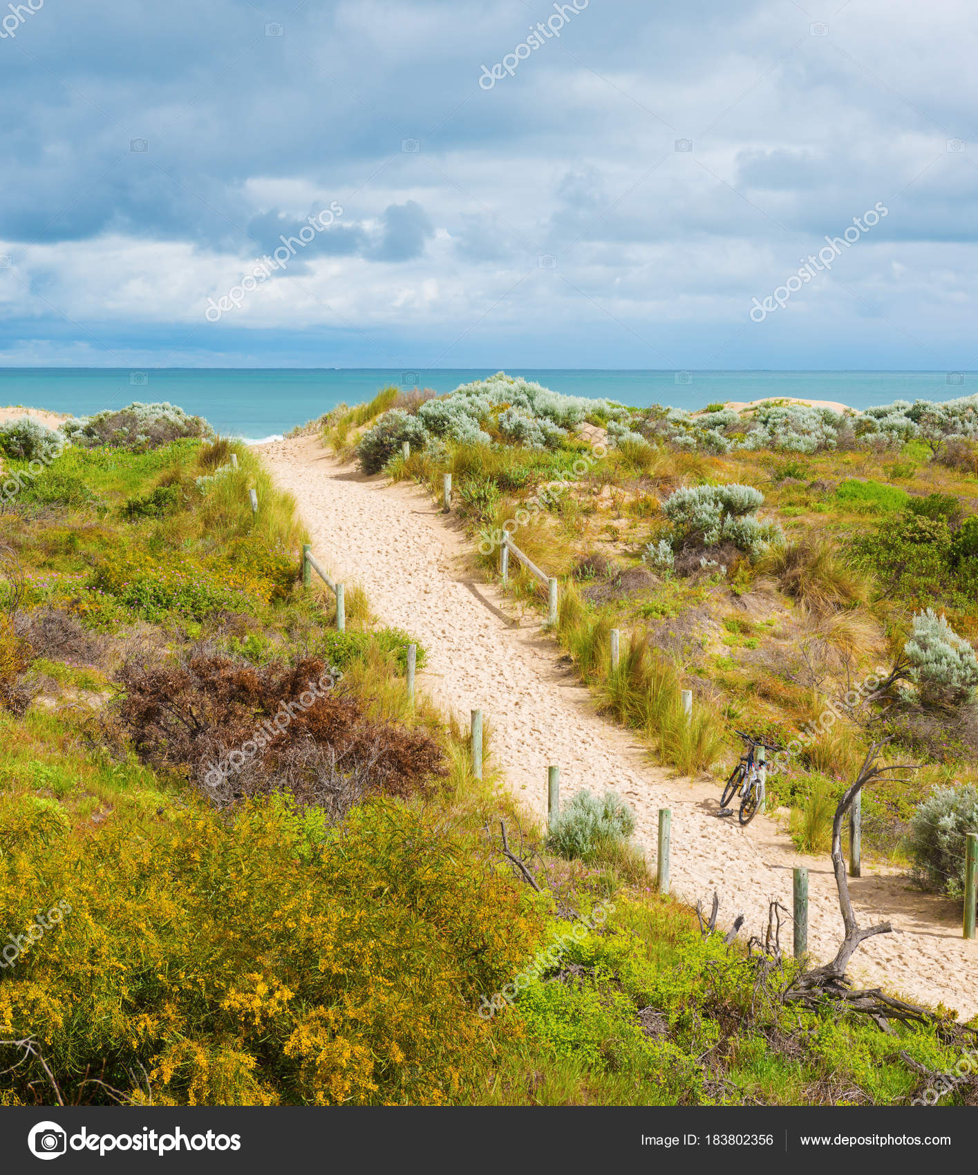 Beautiful scenic view of the dunes — Stock Photo © levkro #183802356