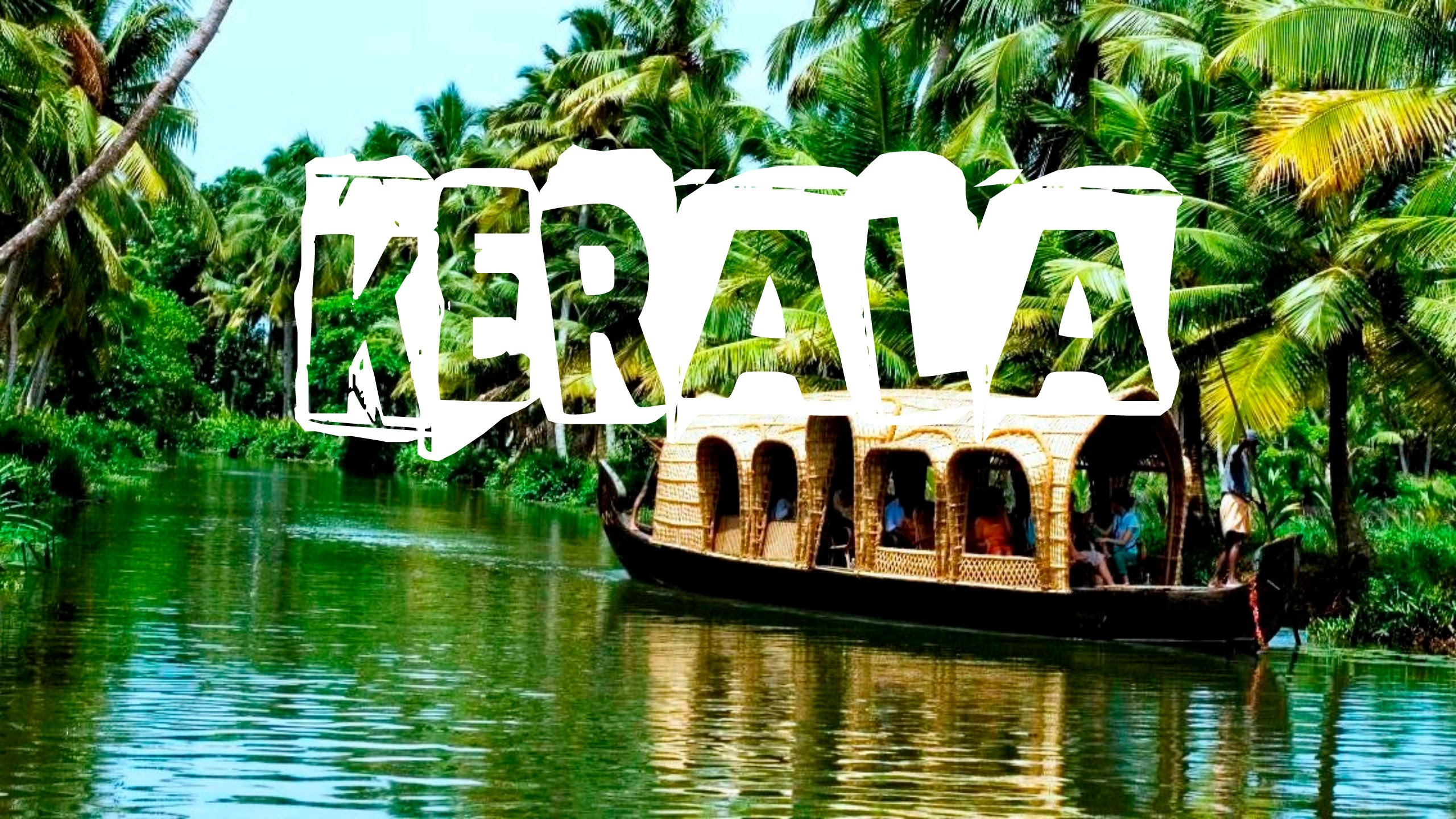 Free Photo Beauty Of Kerala Forest Jungle Kearala Free Download 