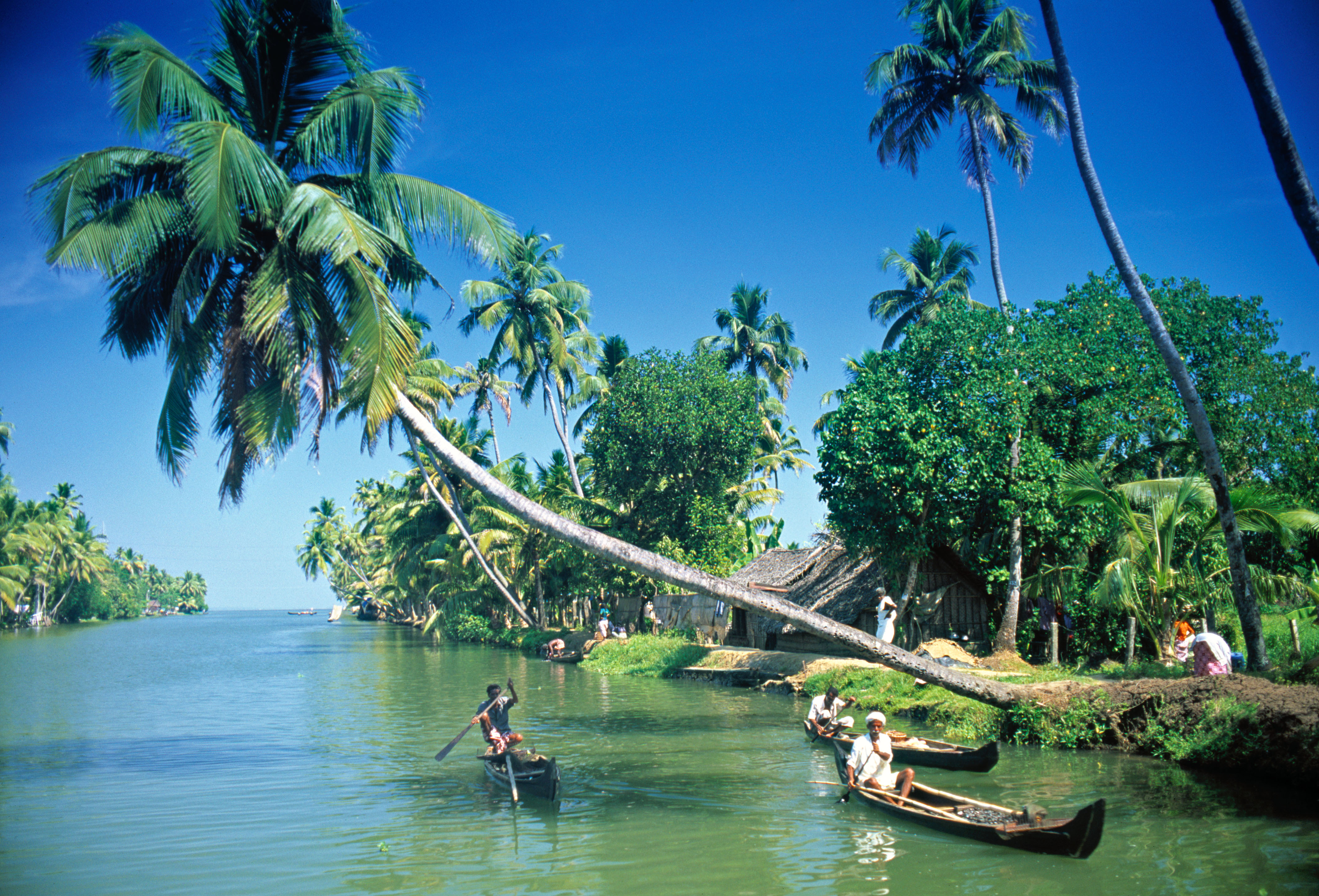 God's Own Country – Kerala! | Kerala Tourist Places