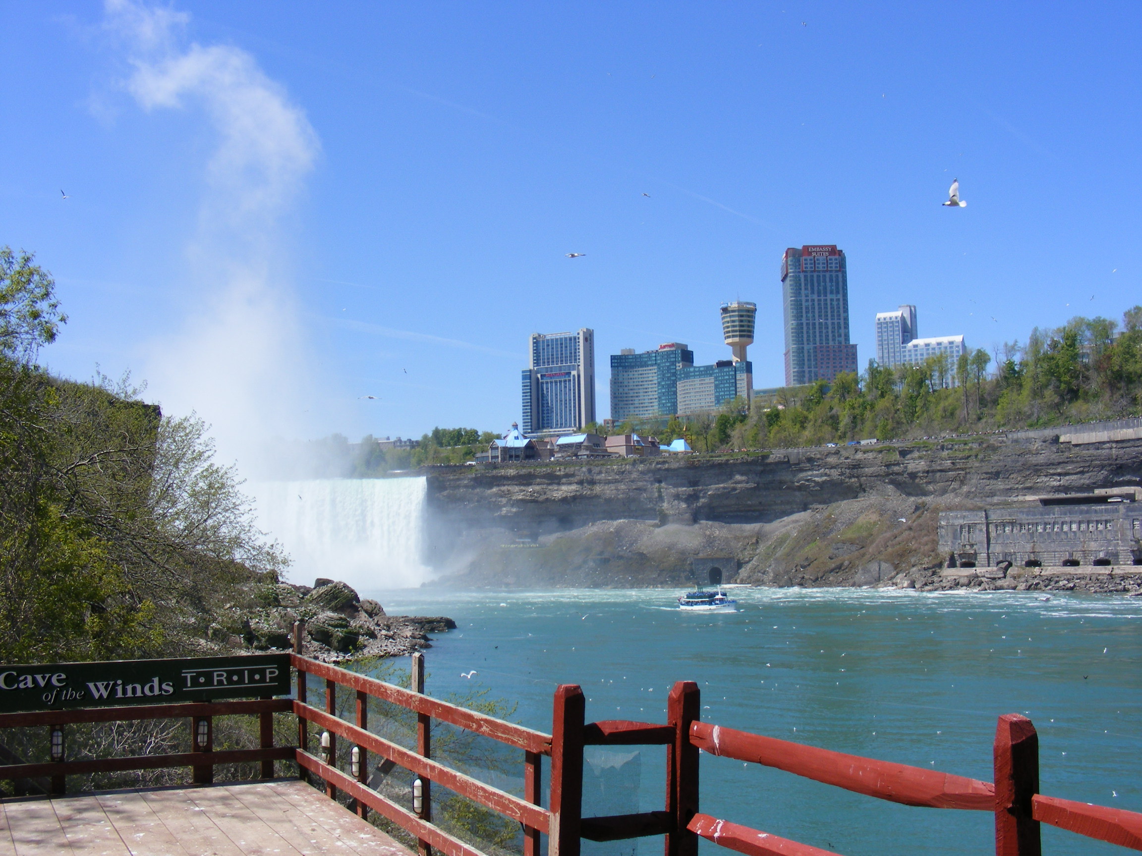 Beauty of Niagara Falls, Scenery, Plants, Pure, Purity, HQ Photo