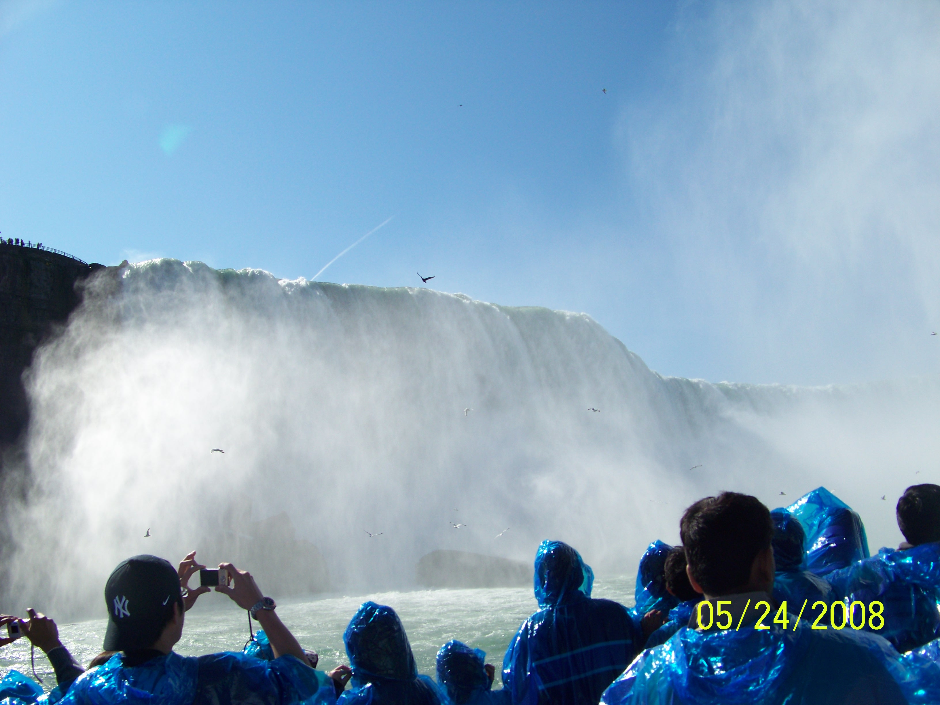 Beauty of Niagara Falls, Amazing, Plants, Pure, Purity, HQ Photo