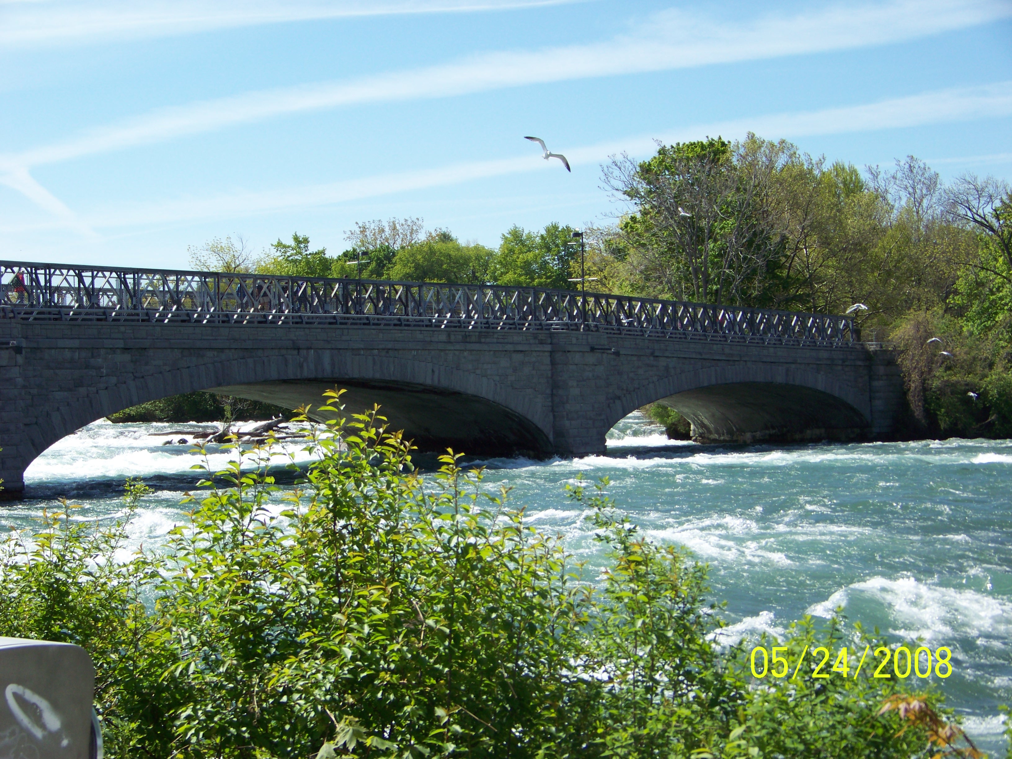 Beauty of Niagara River, Amazing, Scenery, Plants, Pure, HQ Photo