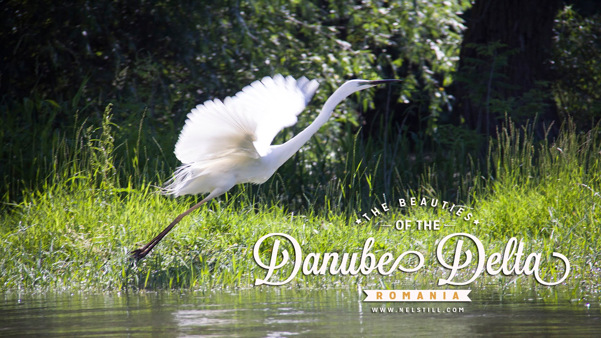 Discover the beauty of the Danube Delta Romania - YouTube