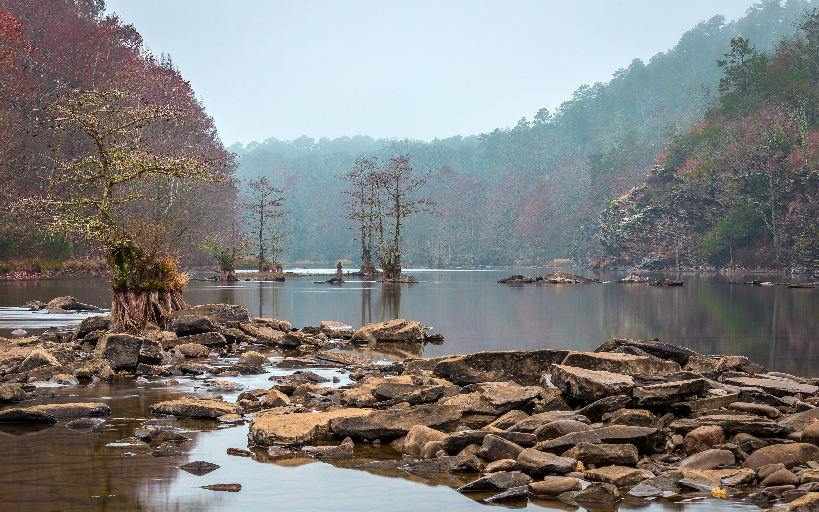 Beavers bend waterscape photo
