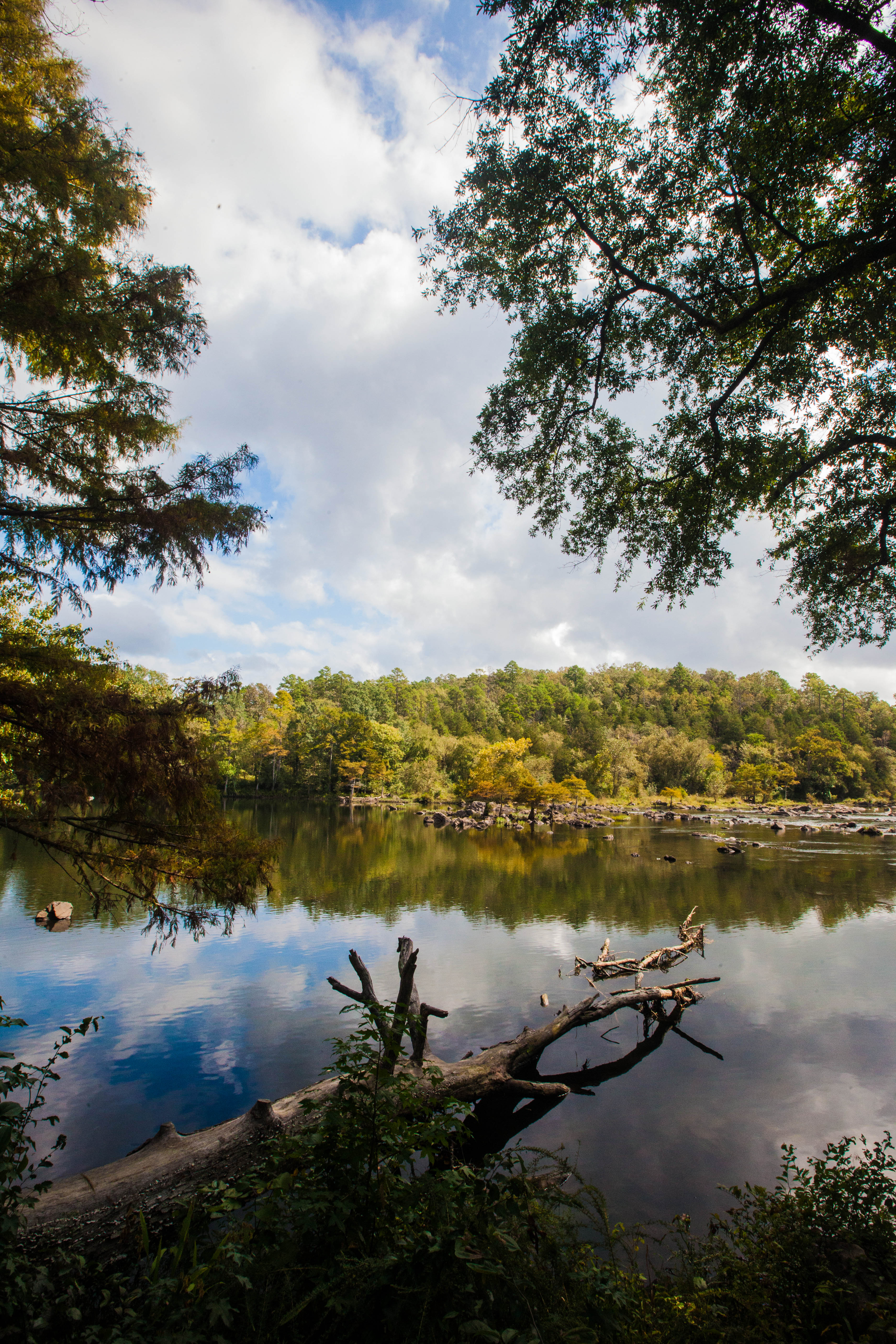 Beavers bend waterscape photo