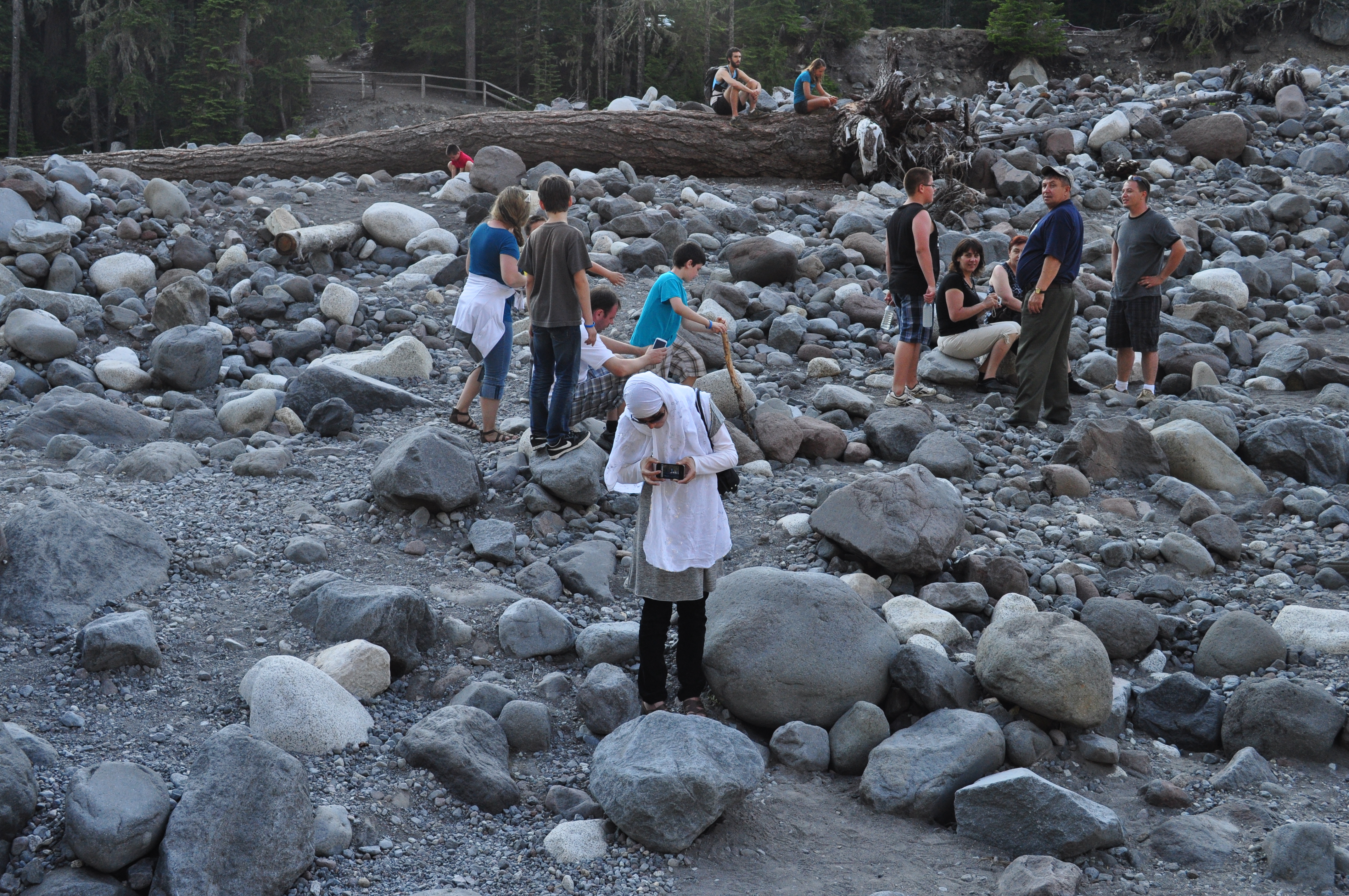 File:On Nisqually River bed near Cougar Rock 01.jpg - Wikimedia Commons