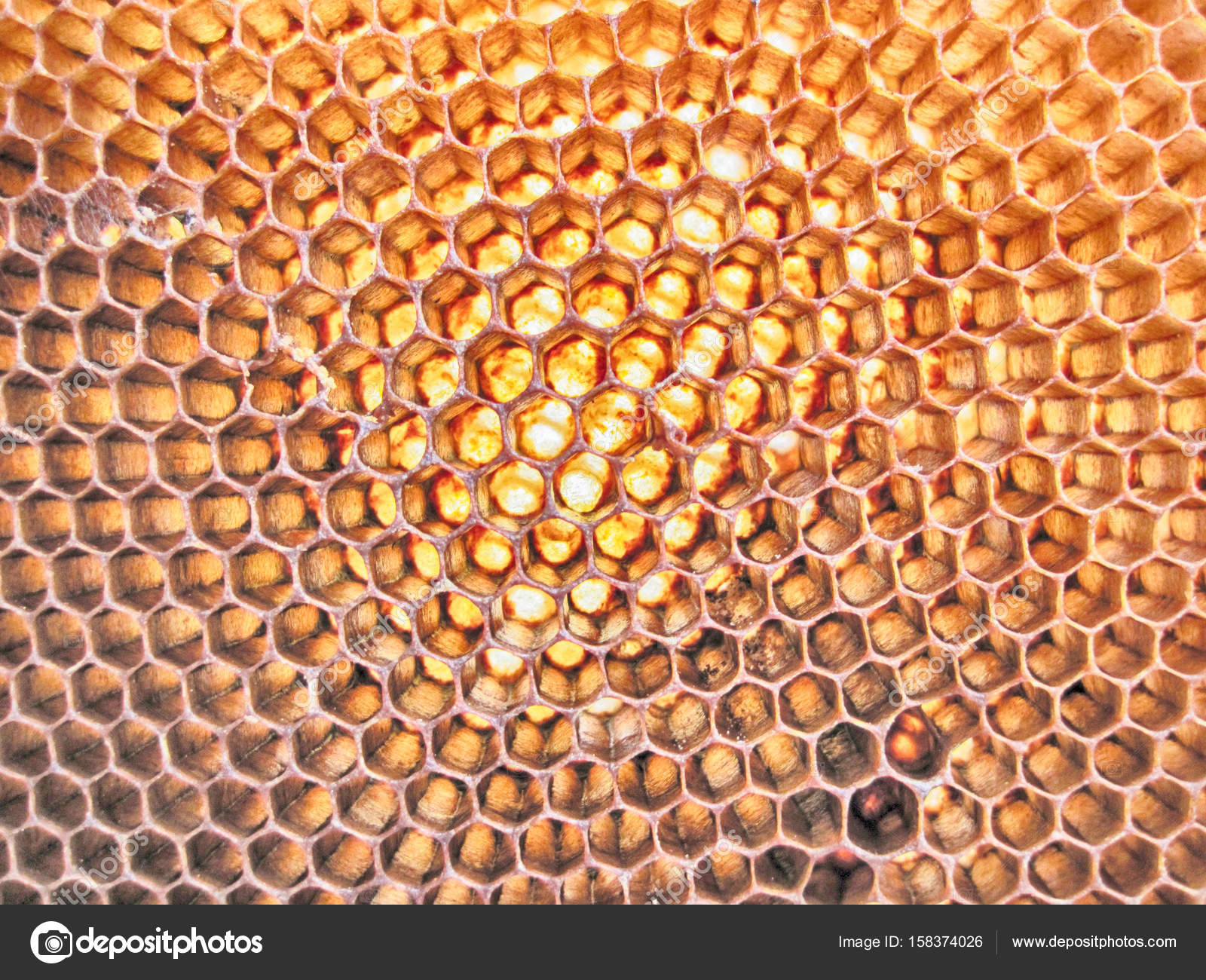 beeswax texture without honey — Stock Photo © jonnysek #158374026