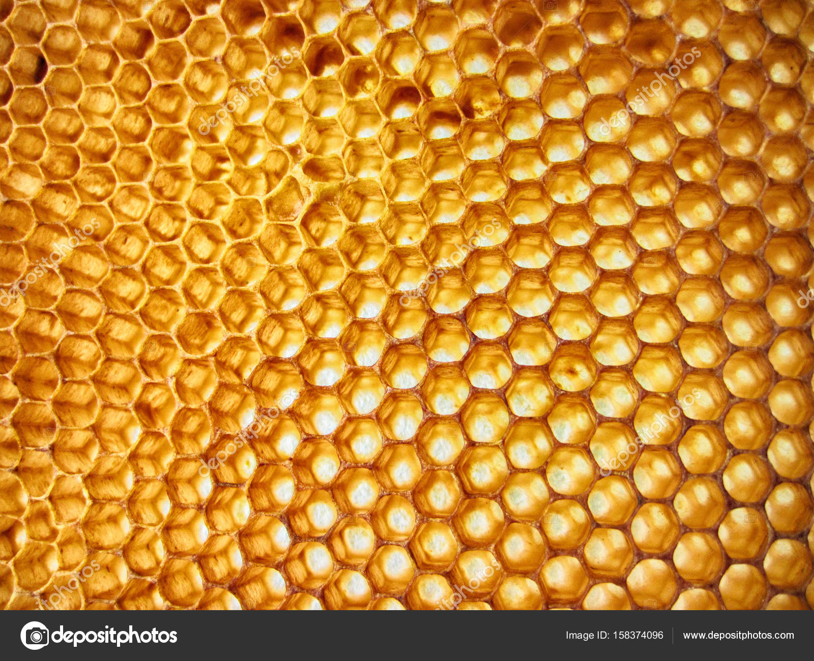 beeswax texture without honey — Stock Photo © jonnysek #158374096
