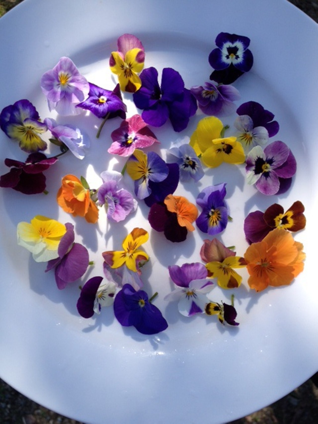 It's bloomin' time for flower power | Glenda Bartosh on Food | Pique ...