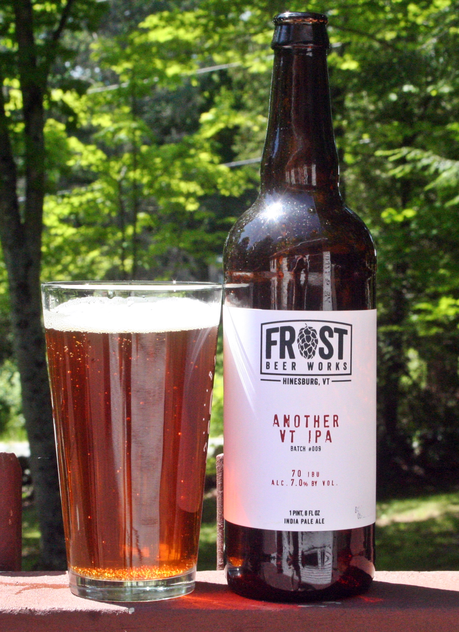 Frost Beer Works Another VT IPA | Insurance Guy Beer Blog