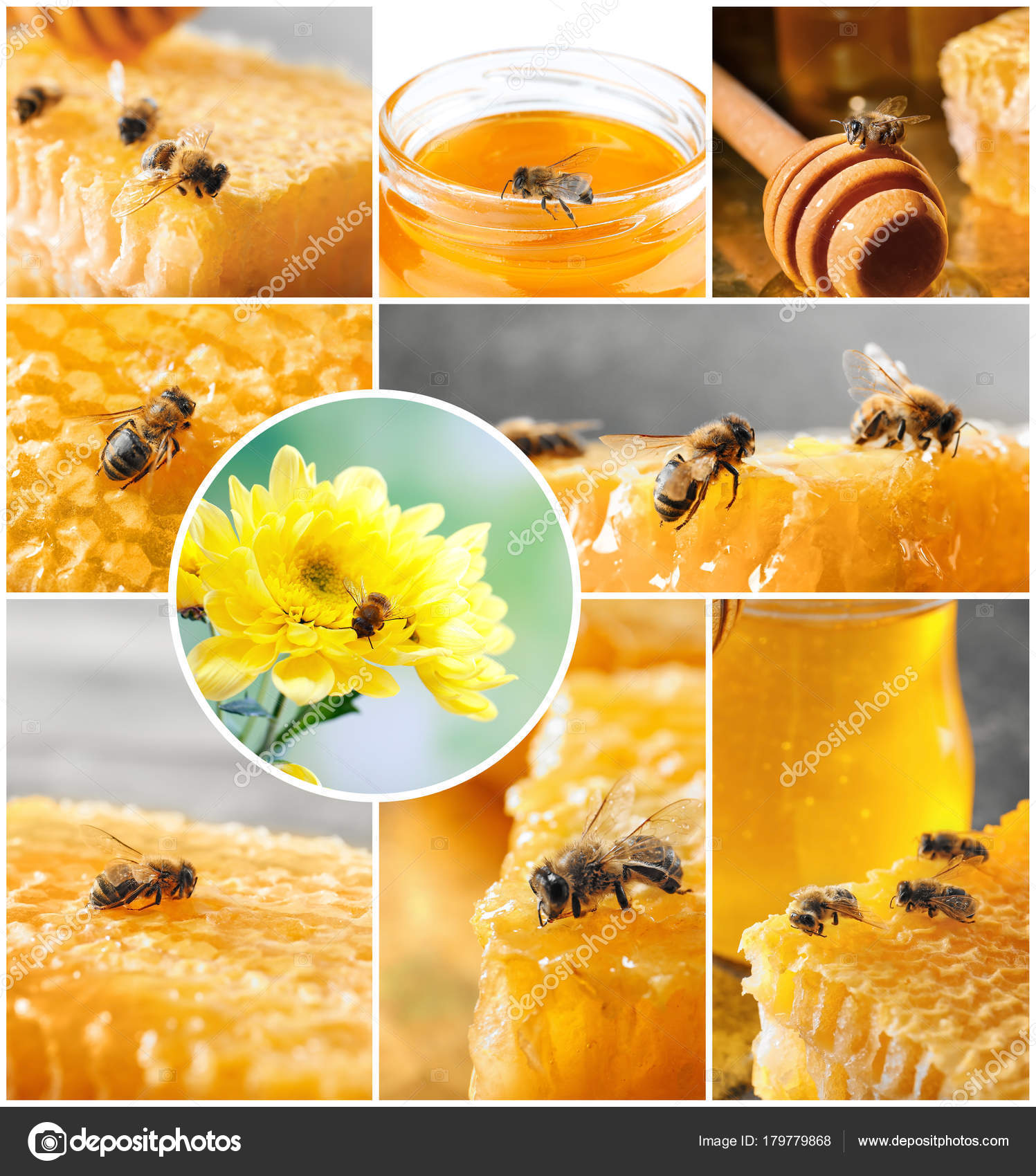 Collage with busy honey bees — Stock Photo © belchonock #179779868