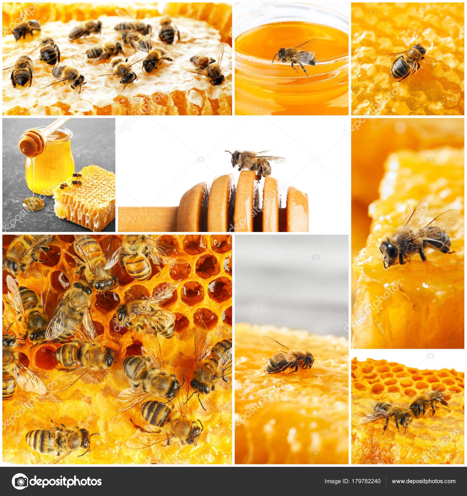 Collage with busy honey bees — Stock Photo © belchonock #179782240