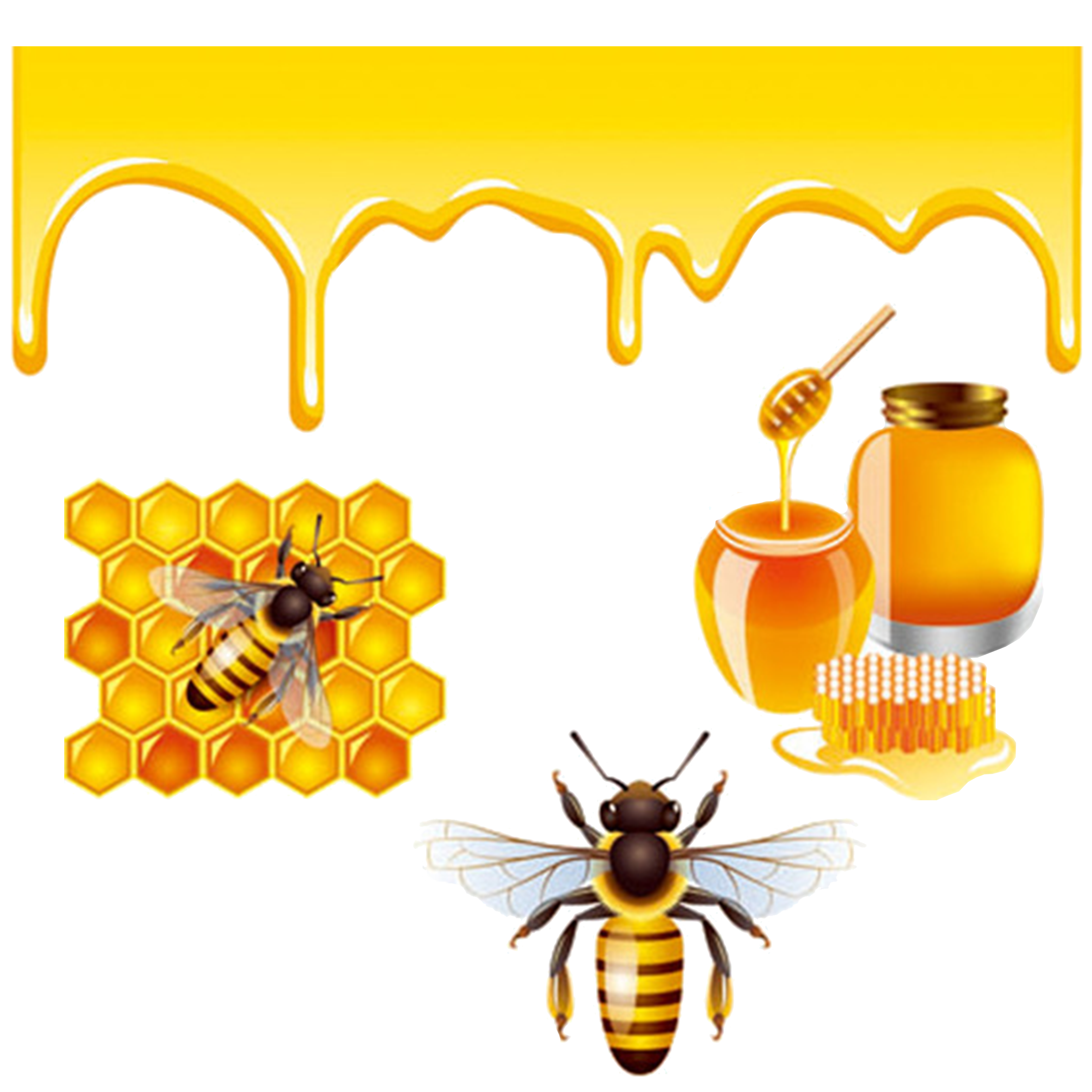 Honey bee Royalty-free - Bees and honey 2362*2362 transprent Png ...